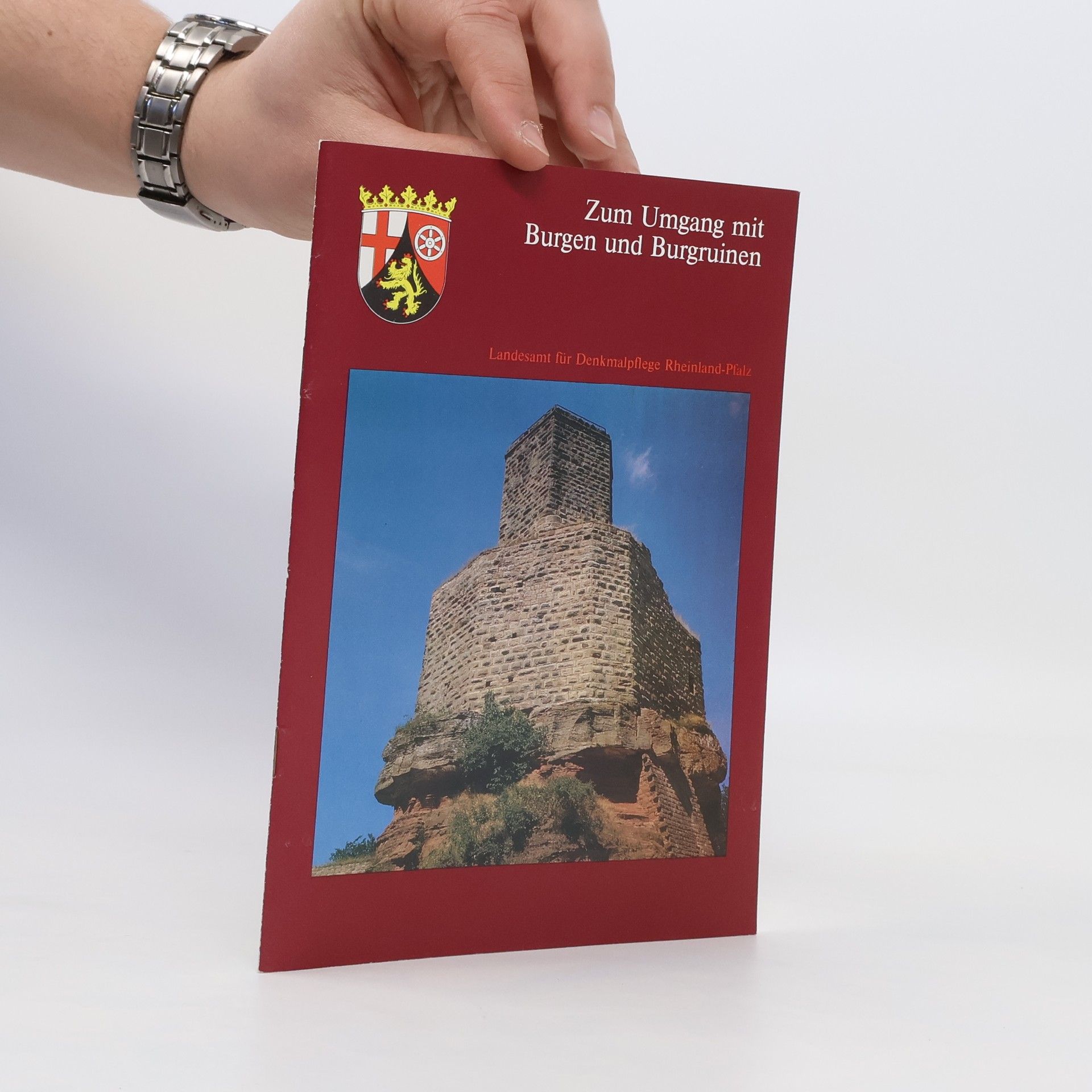 Autorenkollektiv Zum Umgang mit Burgen und Burgruinen