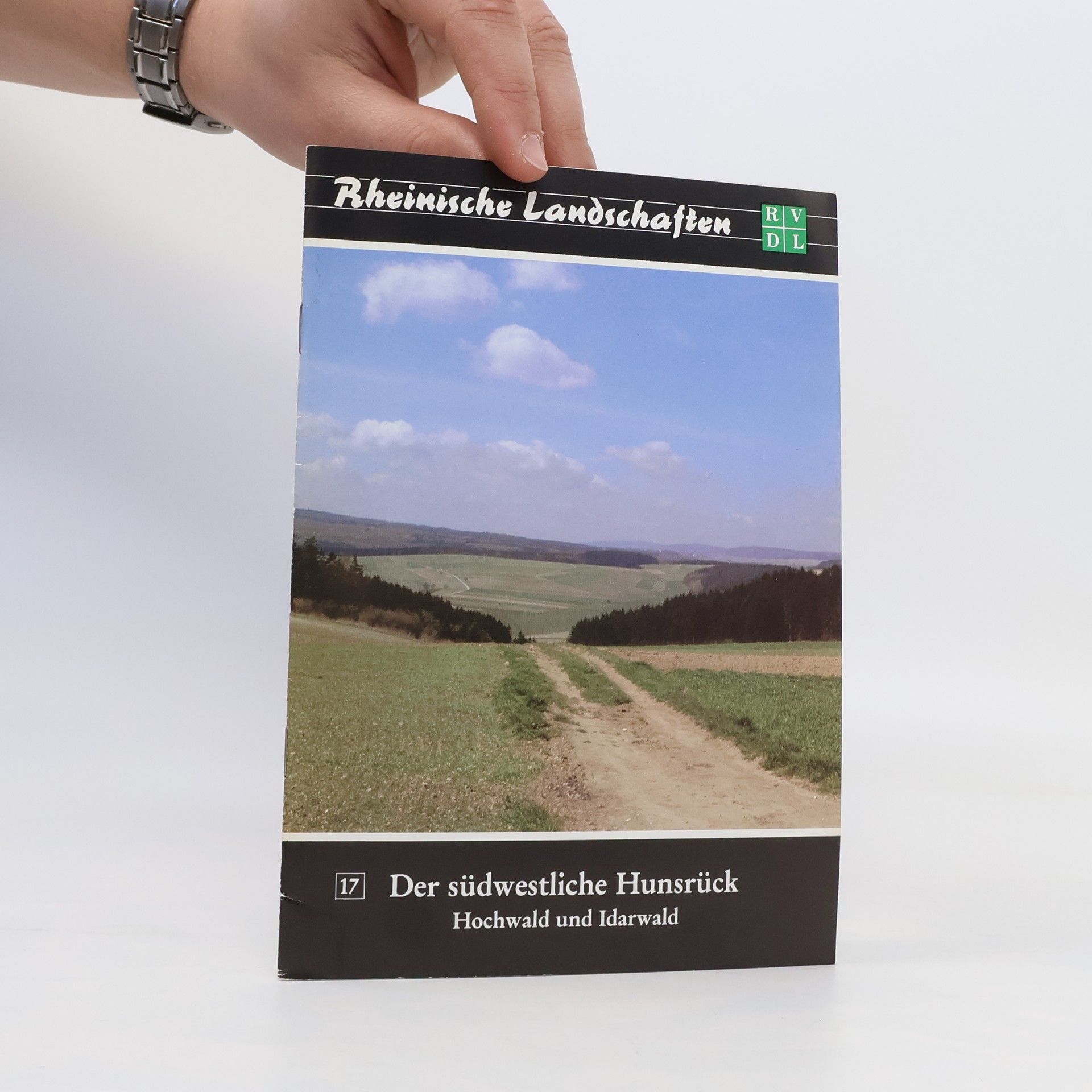 Hans Reichert Der südwestliche Hunsrück