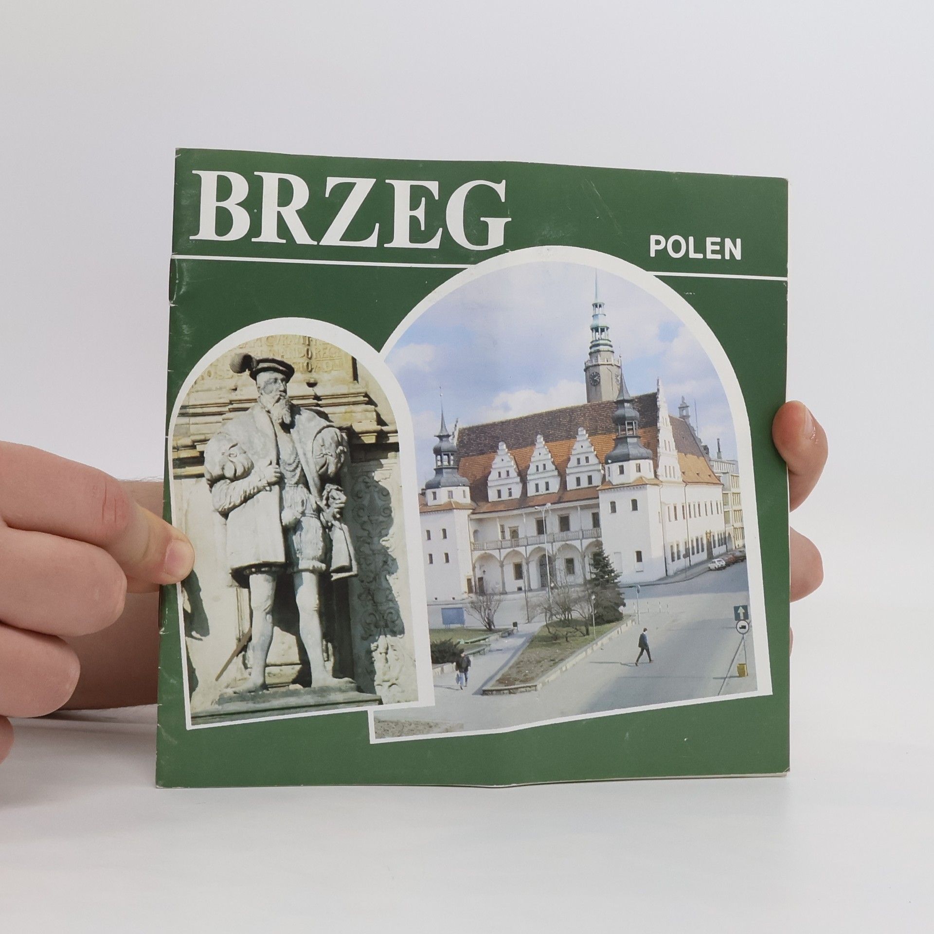 Autorenkollektiv Polen