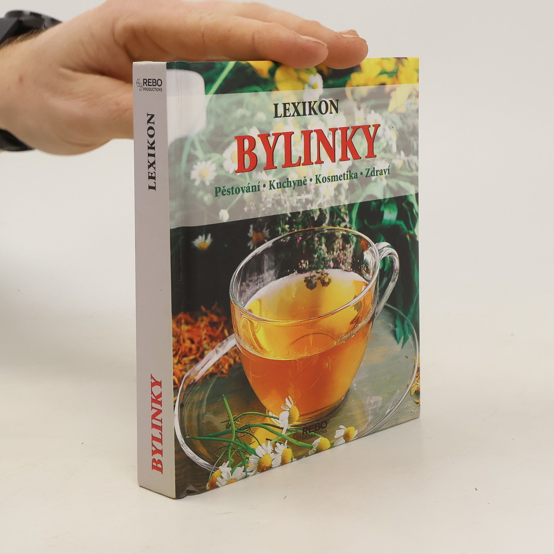 Andrea Rausch Bylinky