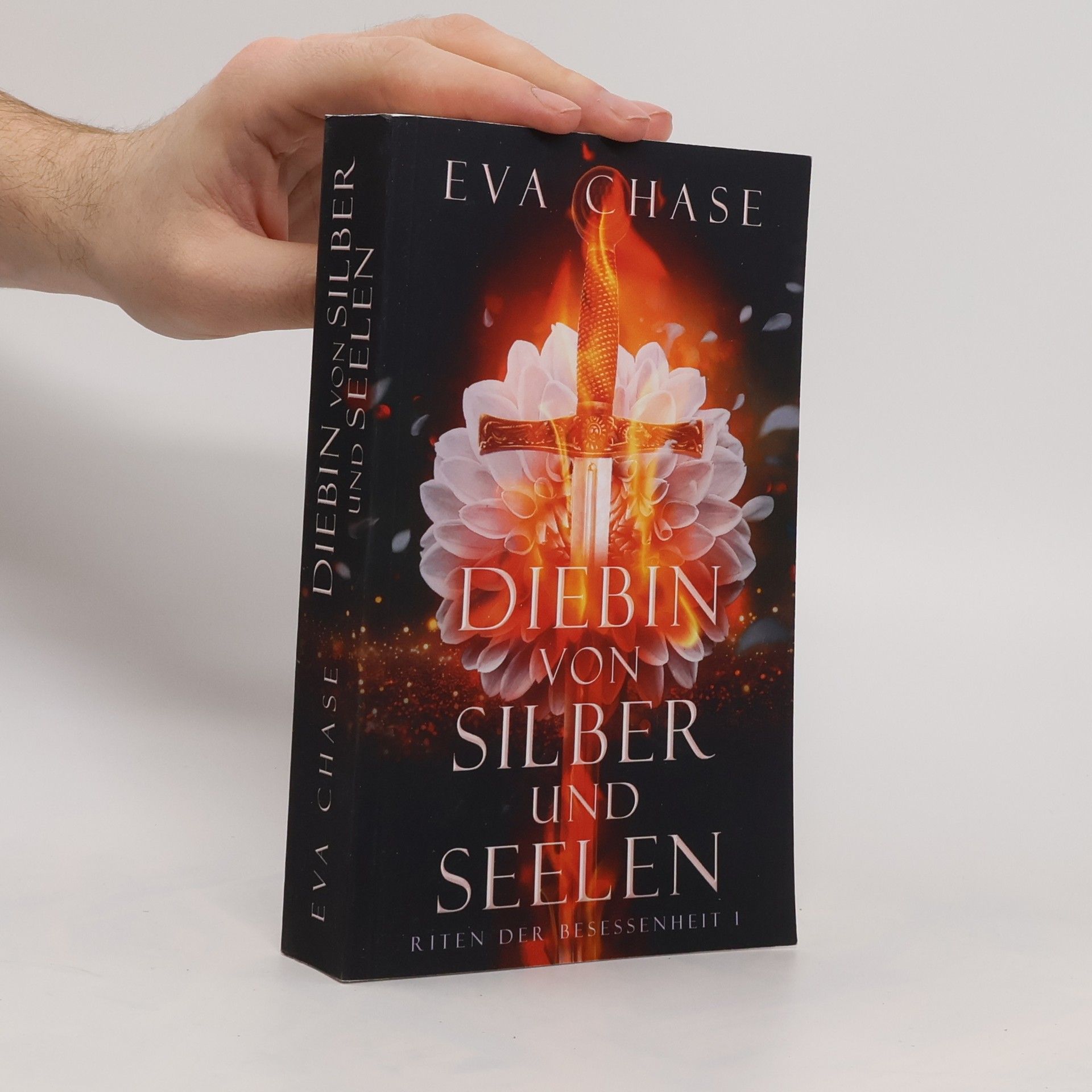 Eva Chase Diebin von Silber und Seelen