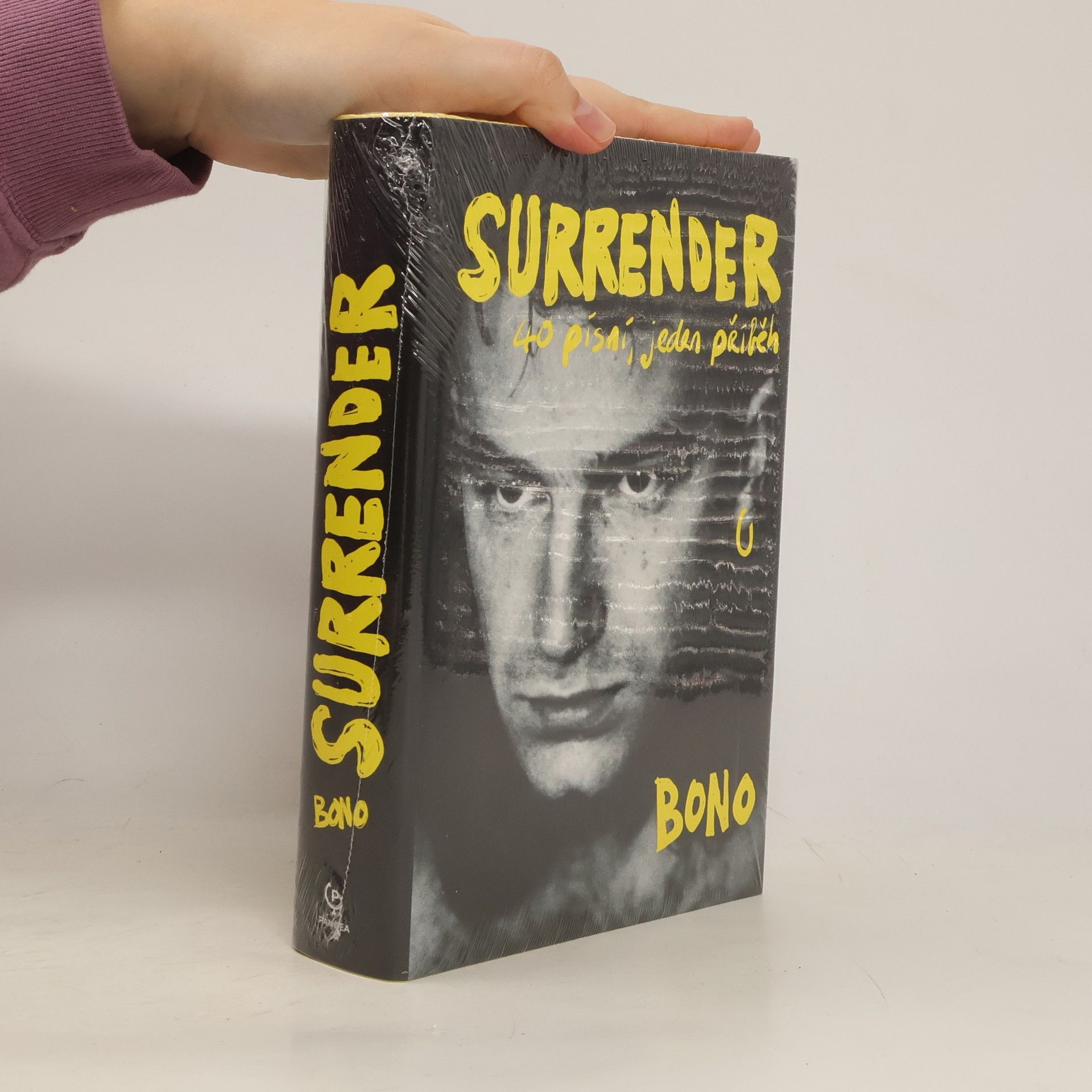 Surrender : 40 písní, jeden příběh