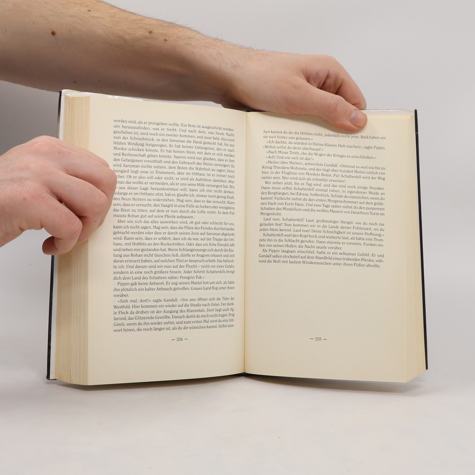 J. R. R. Tolkien Der Herr der Ringe. Die zwei Türme