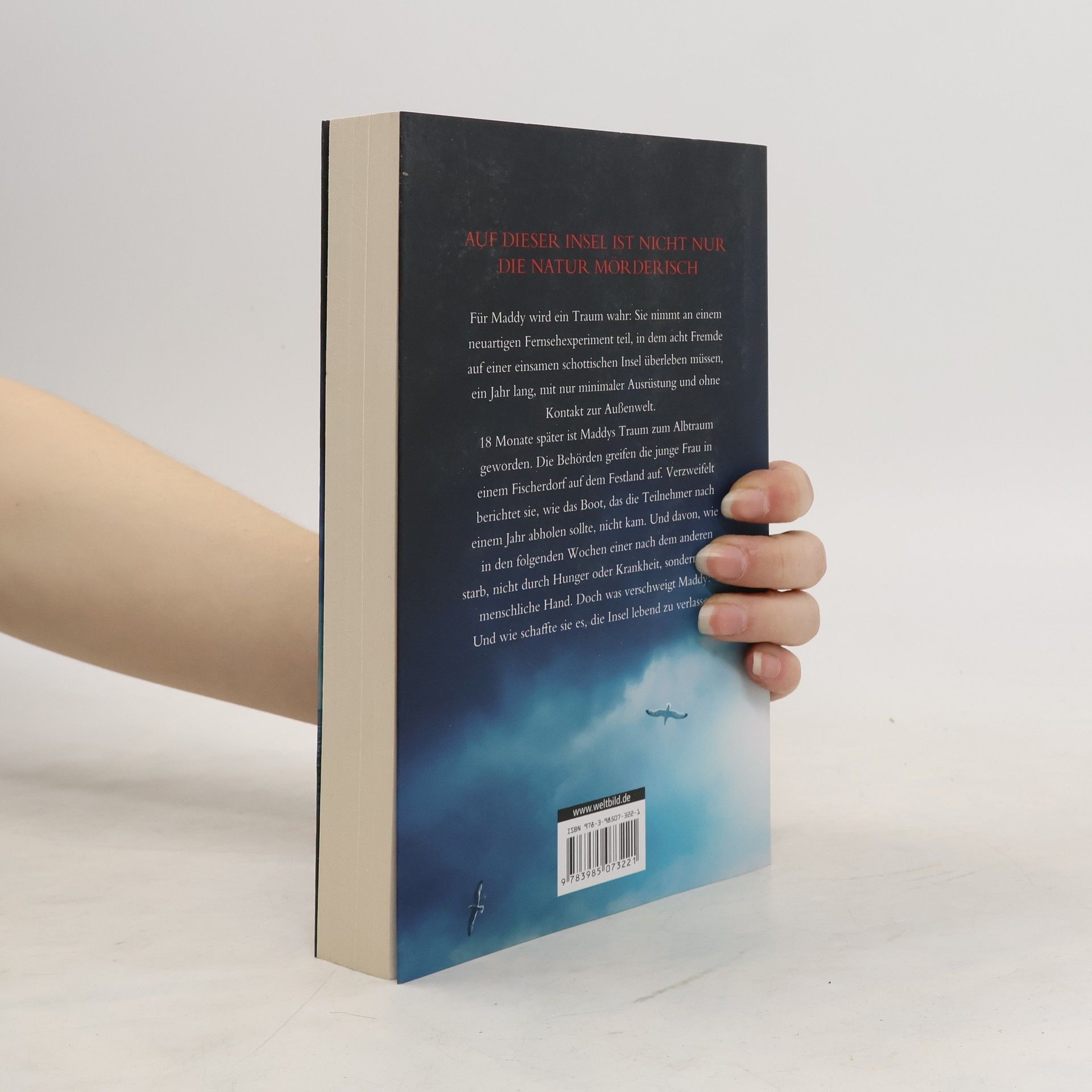 Sarah Goodwin Stranded - Die Insel
