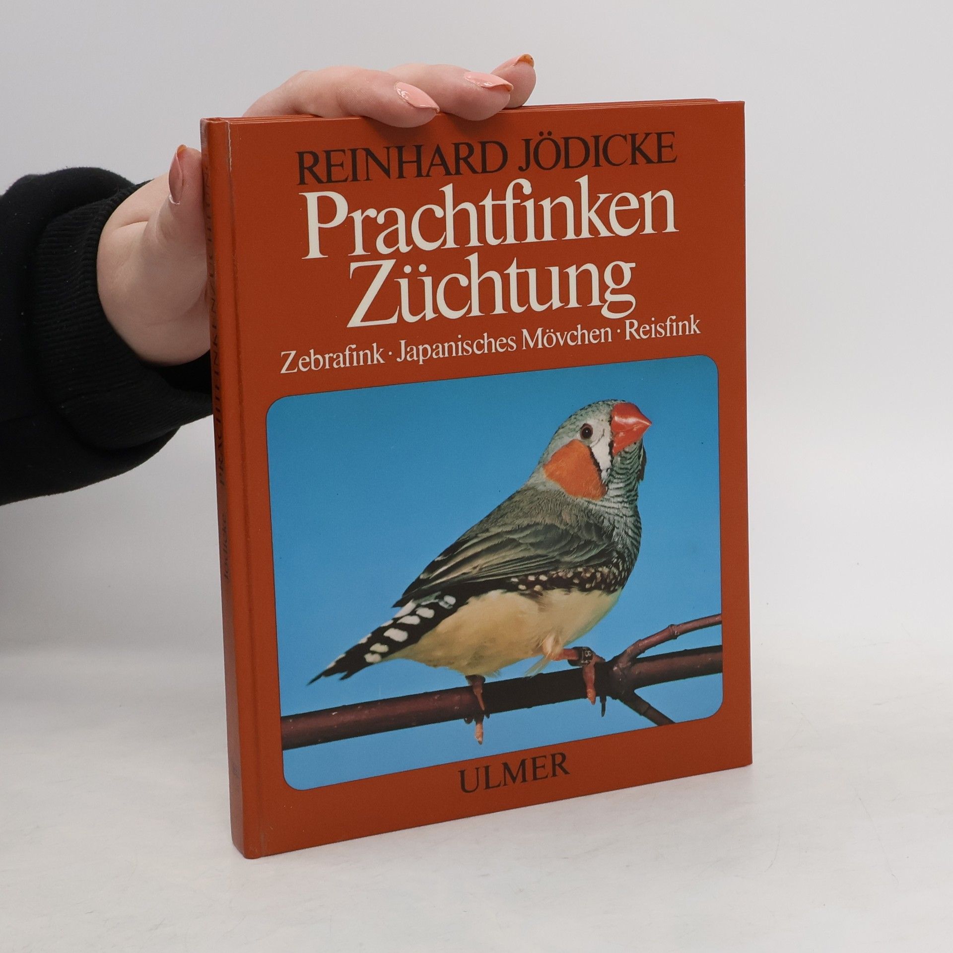 Reinhard Jödicke Prachtfinken-Züchtung