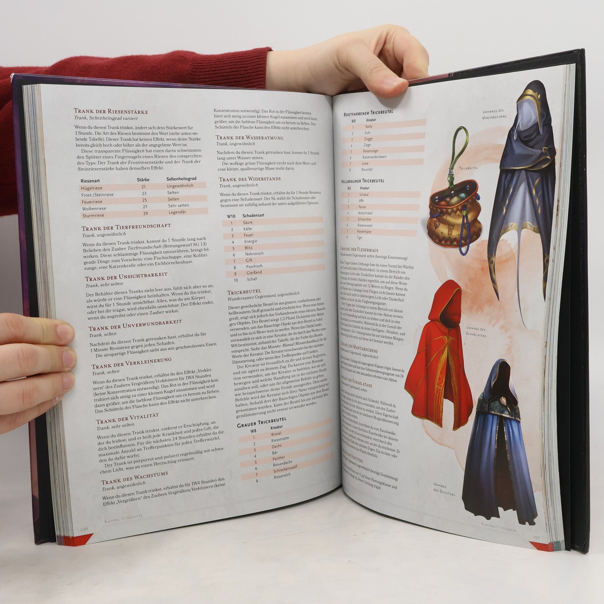 Robert J. Schwalb Dungeon Master's Guide. Spielleiterhandbuch