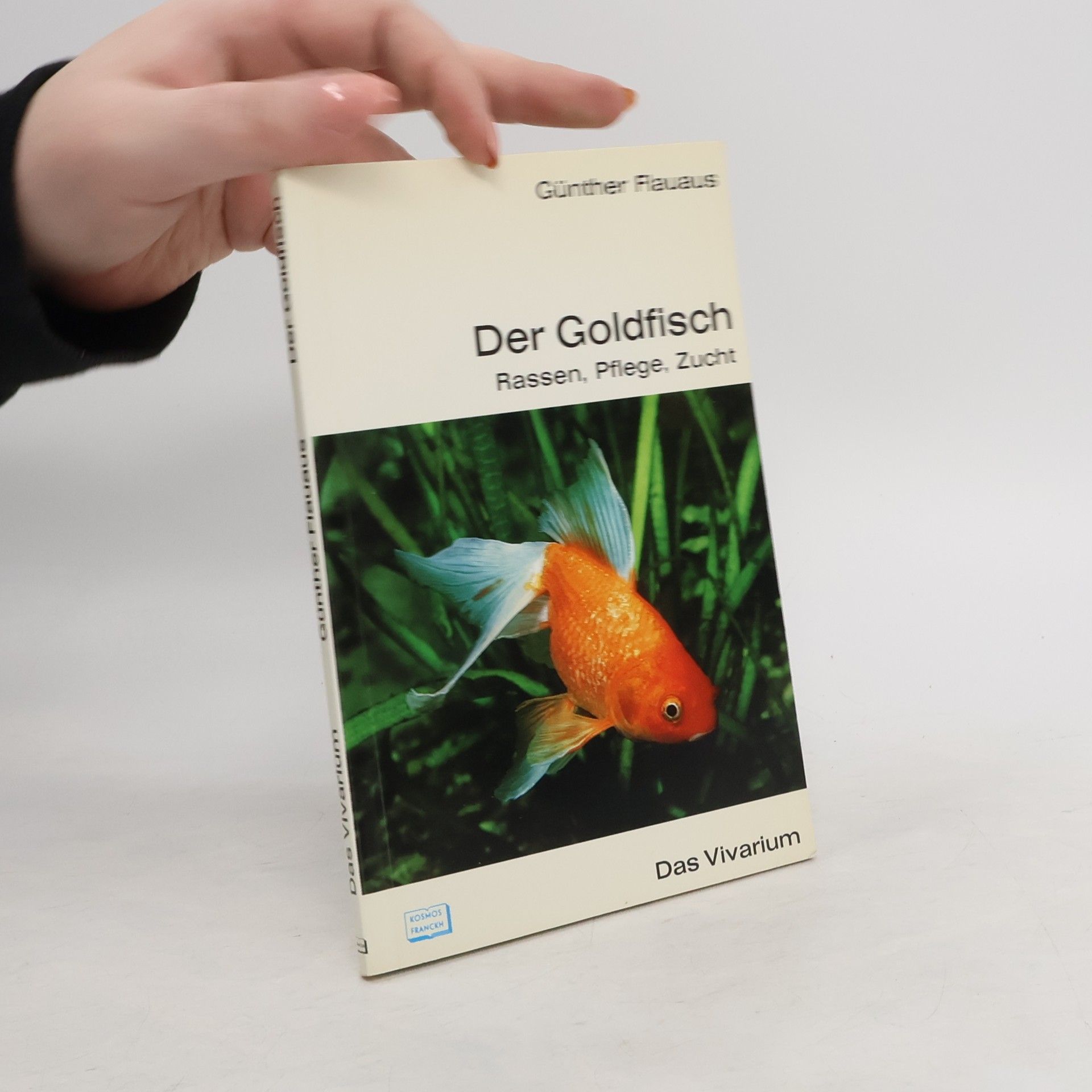 Günther Flauaus Der Goldfisch