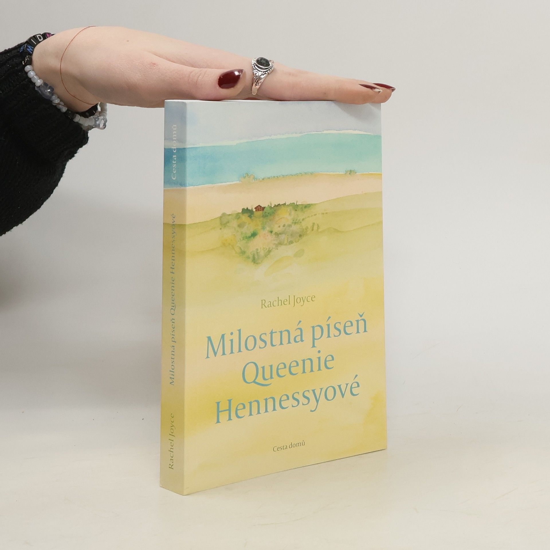 Rachel Joyce Milostná píseň Queenie Hennessyové