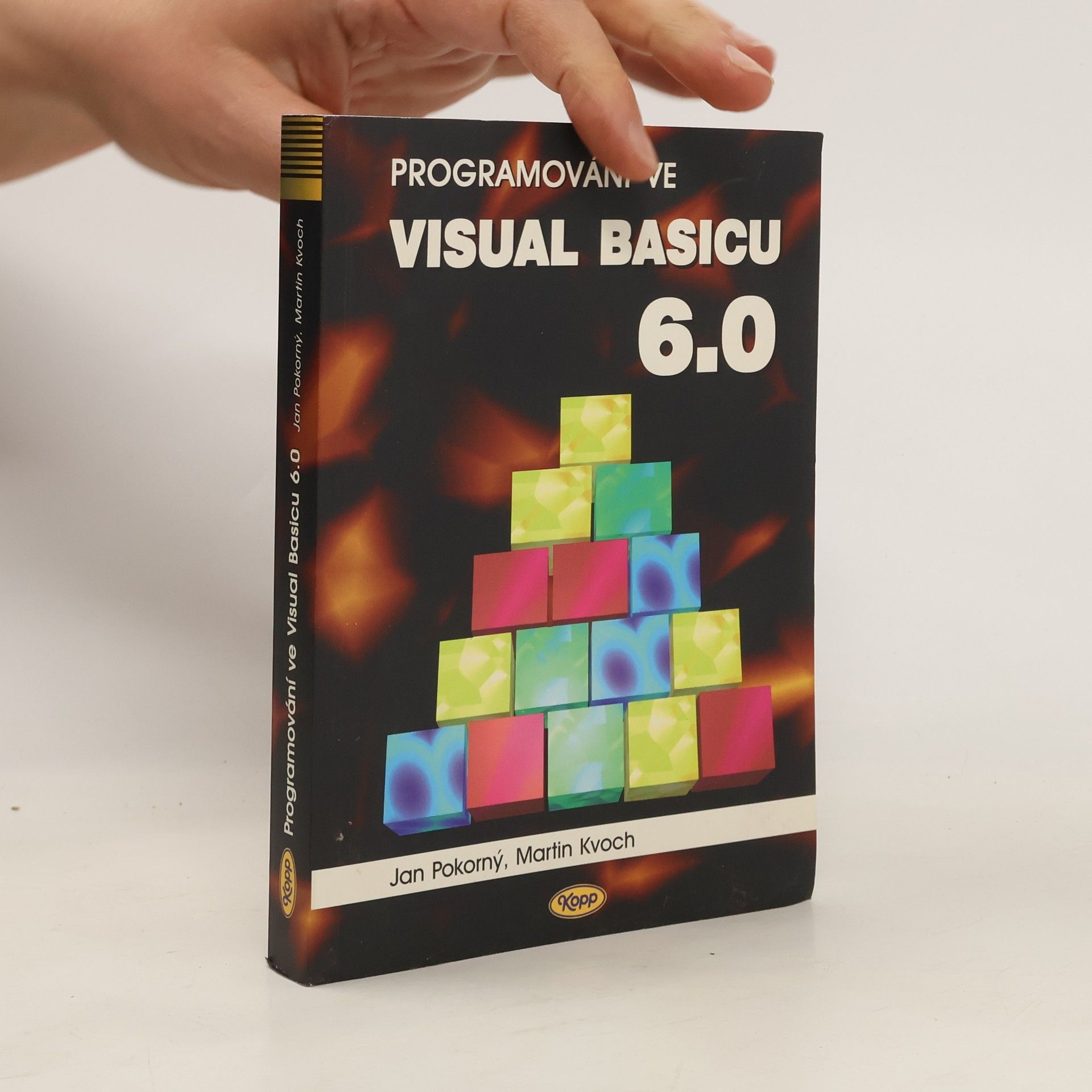 Jan Pokorný Programování ve Visual Basicu 6.0