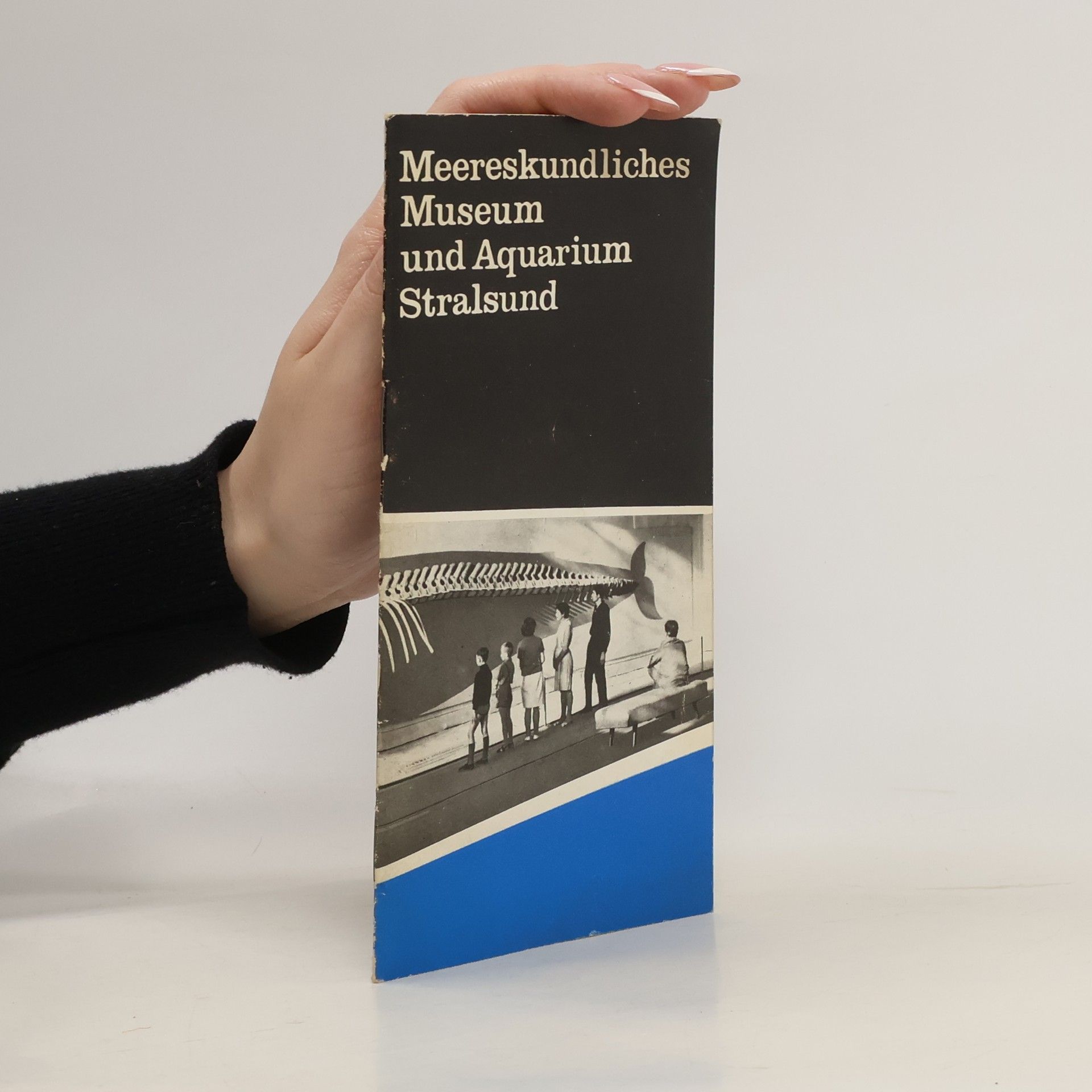 kolektiv Meereskundliches Museum und Aquarium Stralsund
