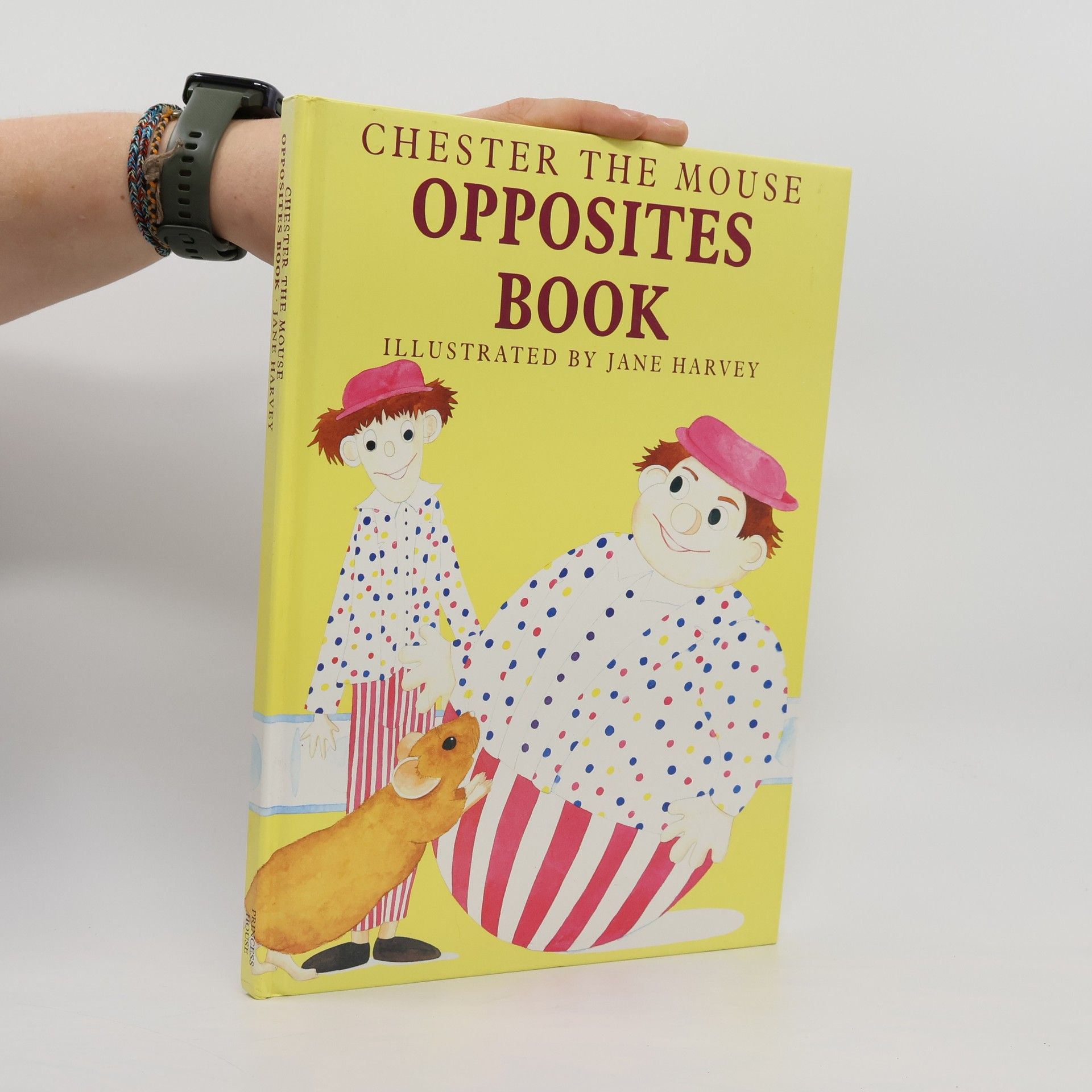 Kolektiv autorů Chester the Mouse - Opposites Book