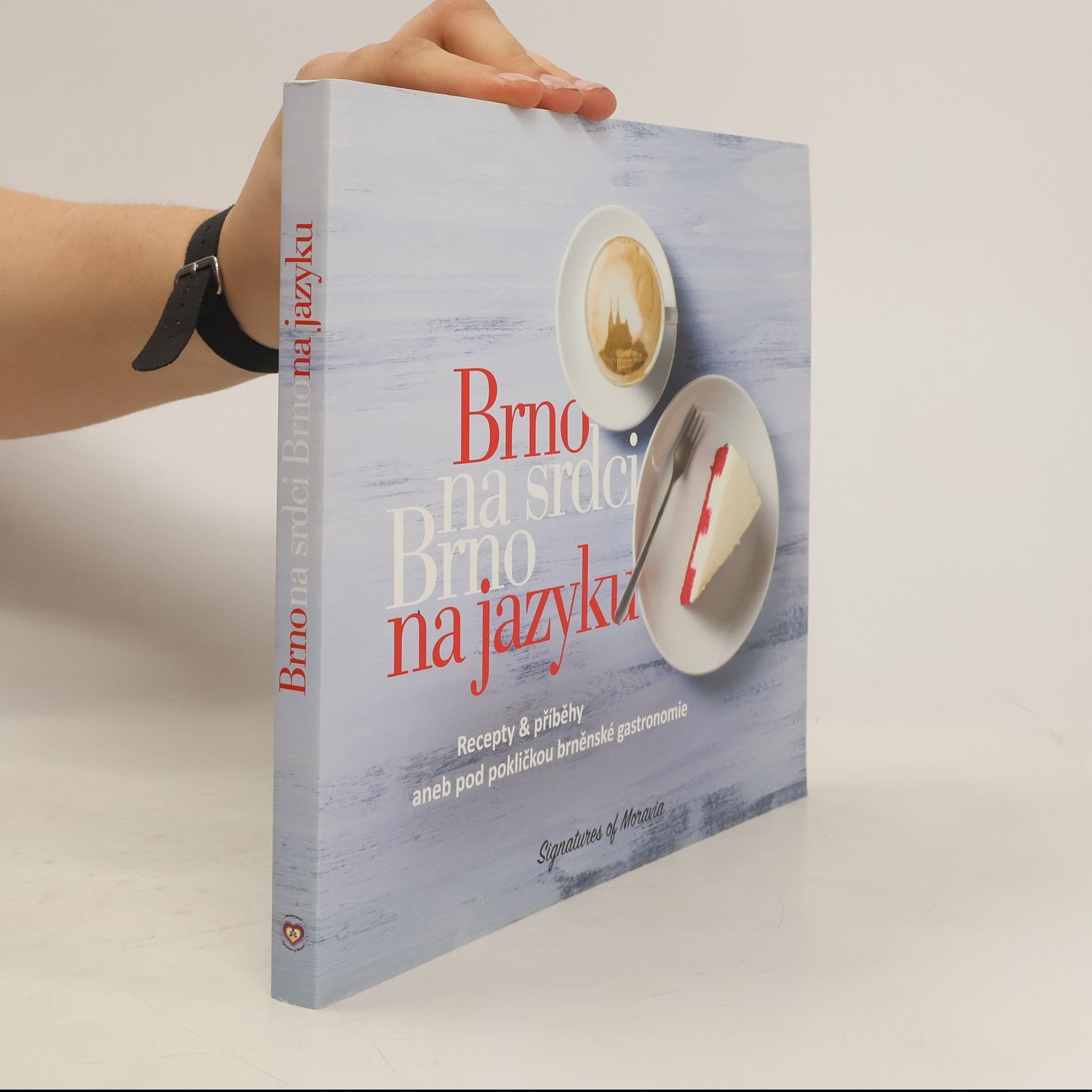Brno na srdci, Brno na jazyku
