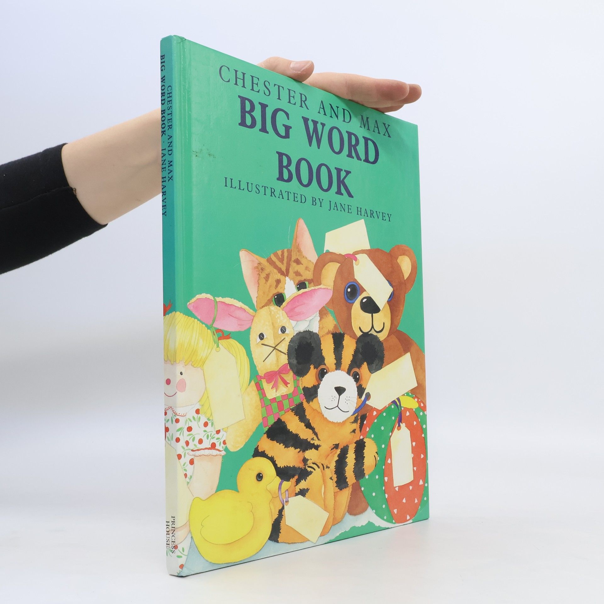 Kolektiv autorů Big Word Book