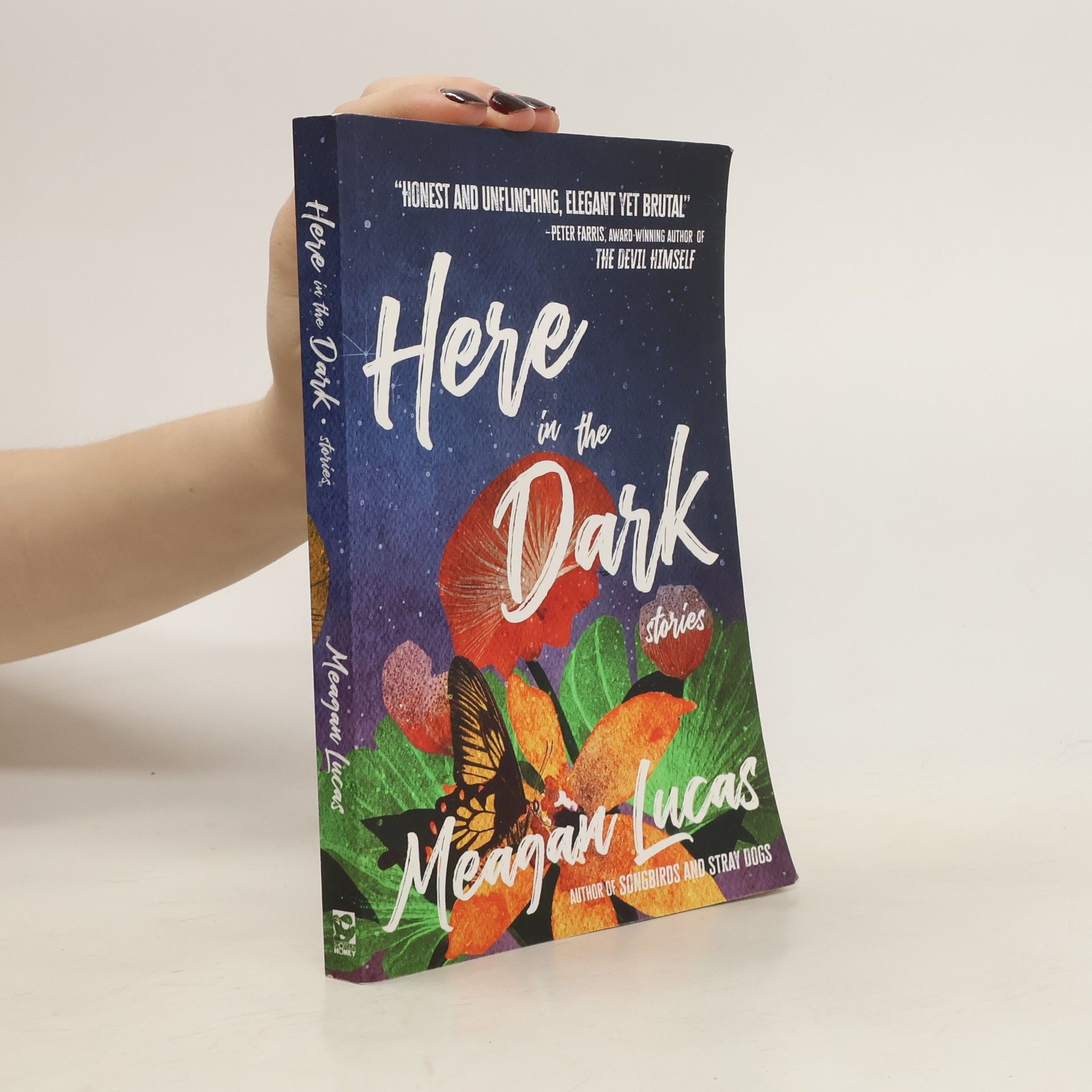 Meagan Lucas Here in the Dark