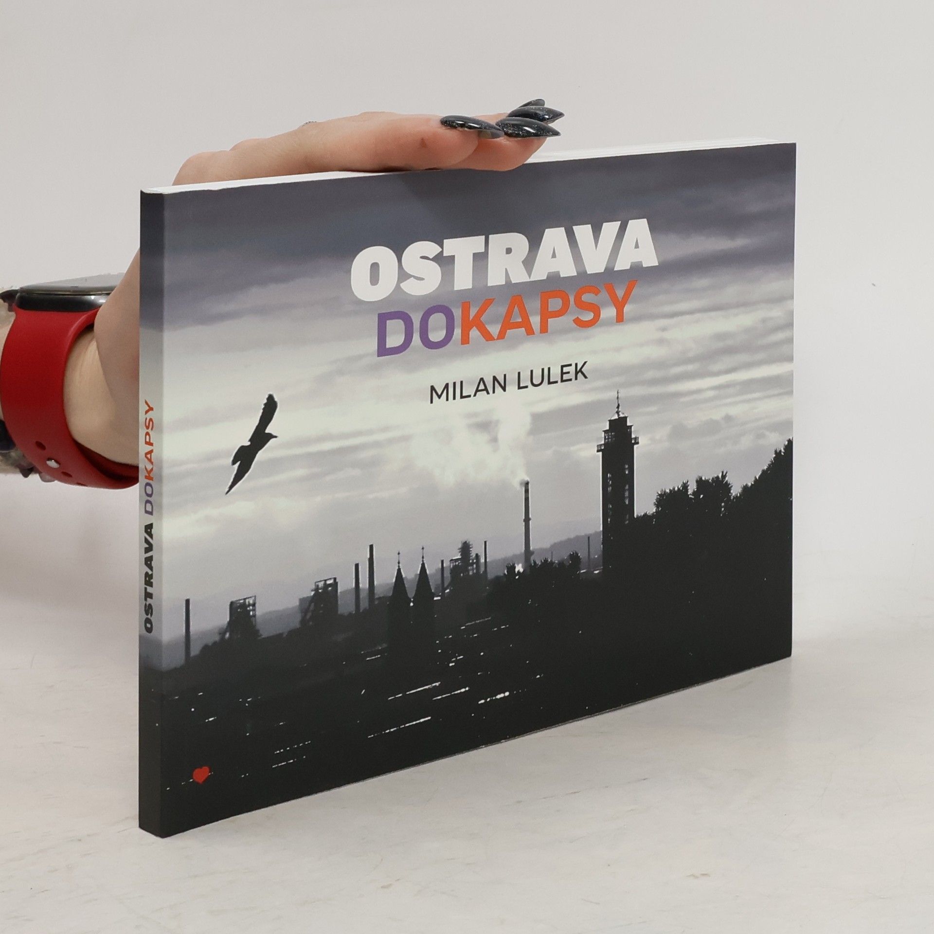 Milan Lulek Ostrava do kapsy