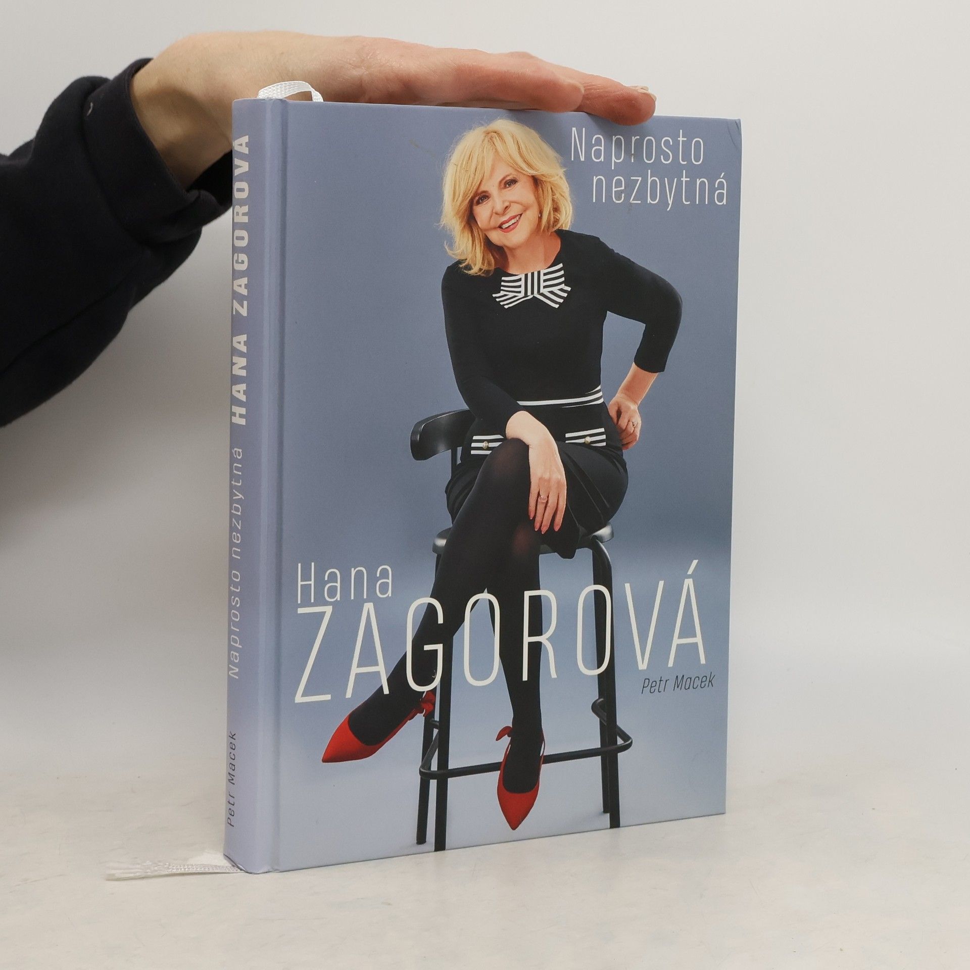 Petr Macek Naprosto nezbytná Hana Zagorová
