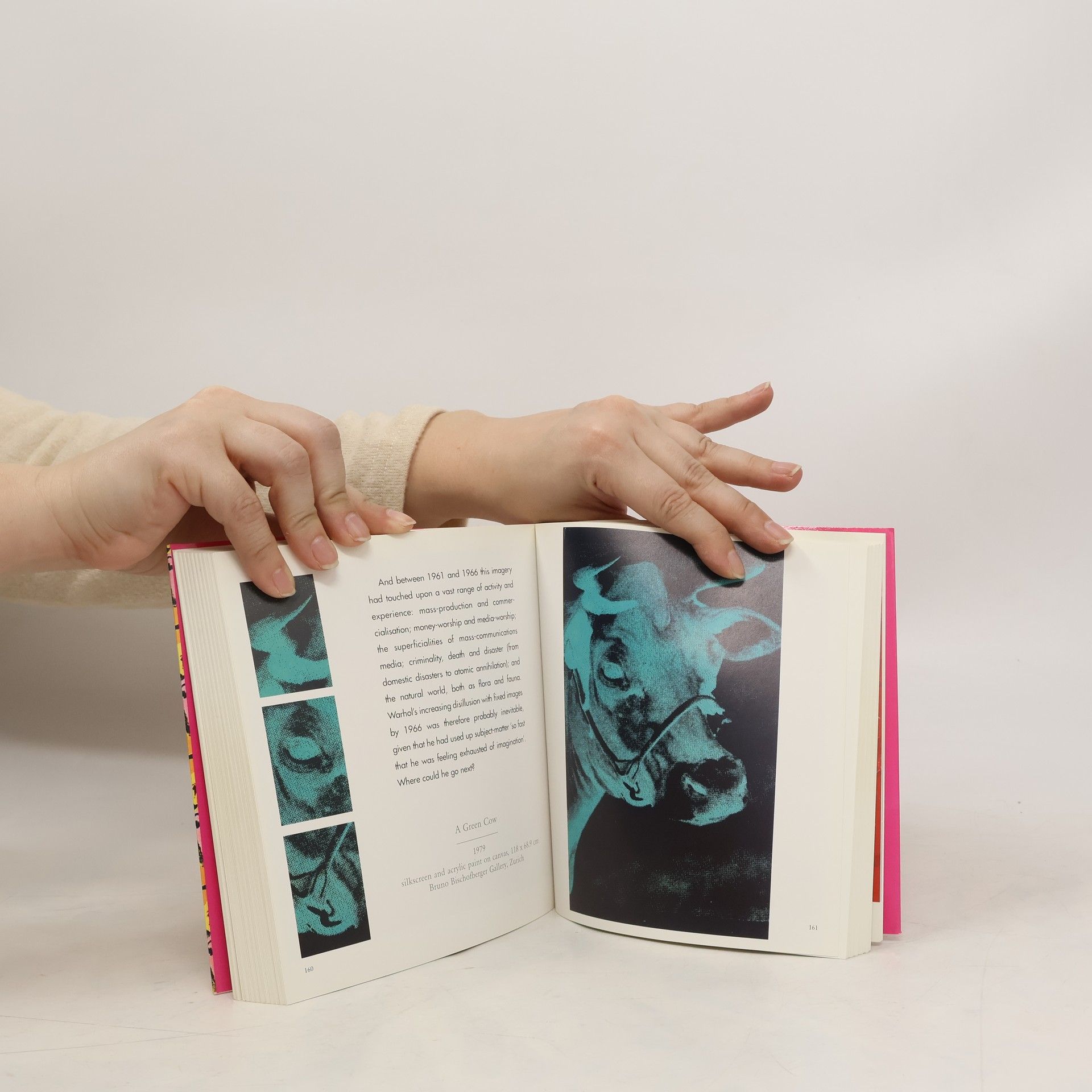 Various authors Warhol : 1928-1987