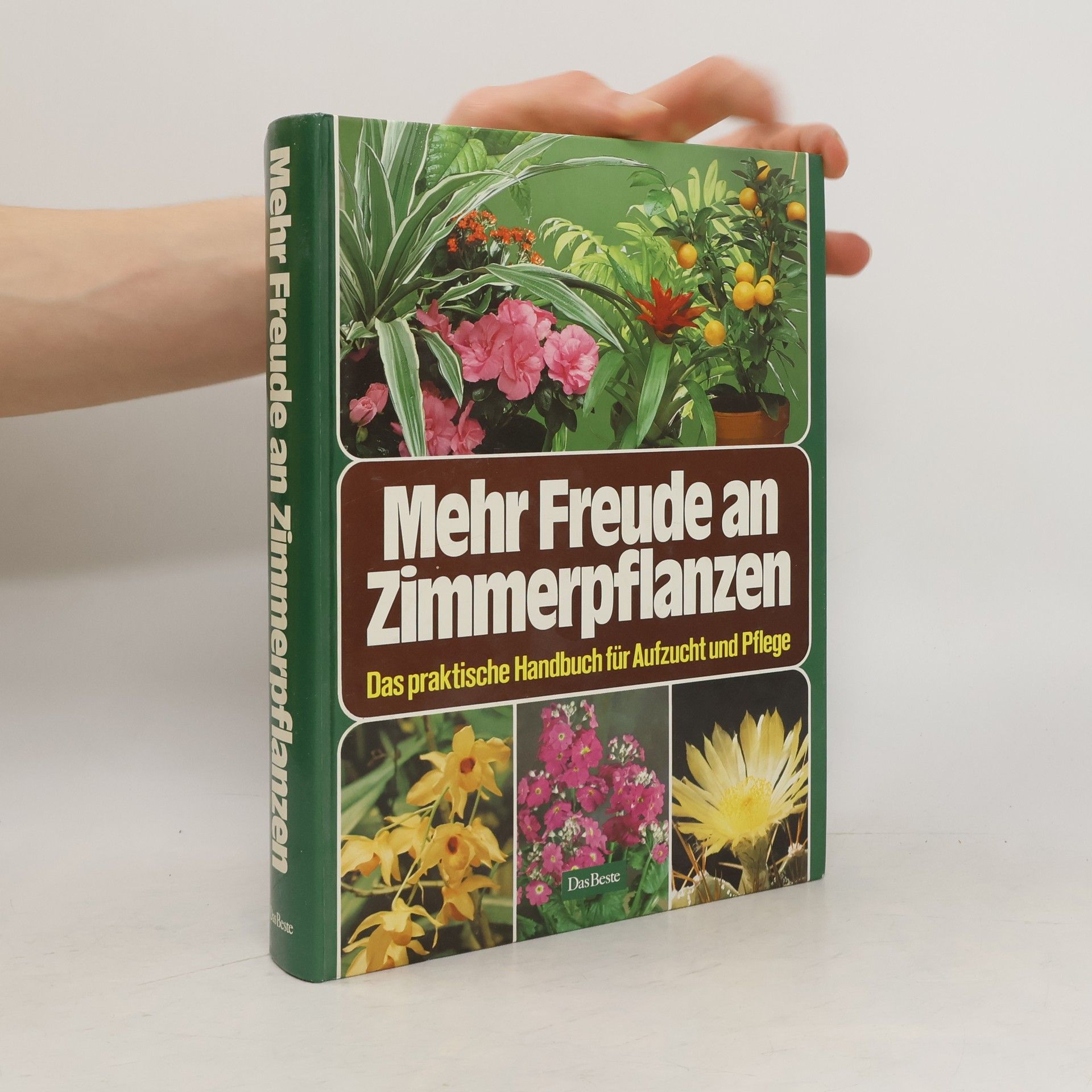 Autorenkollektiv Mehr Freude an Zimmerpflanzen