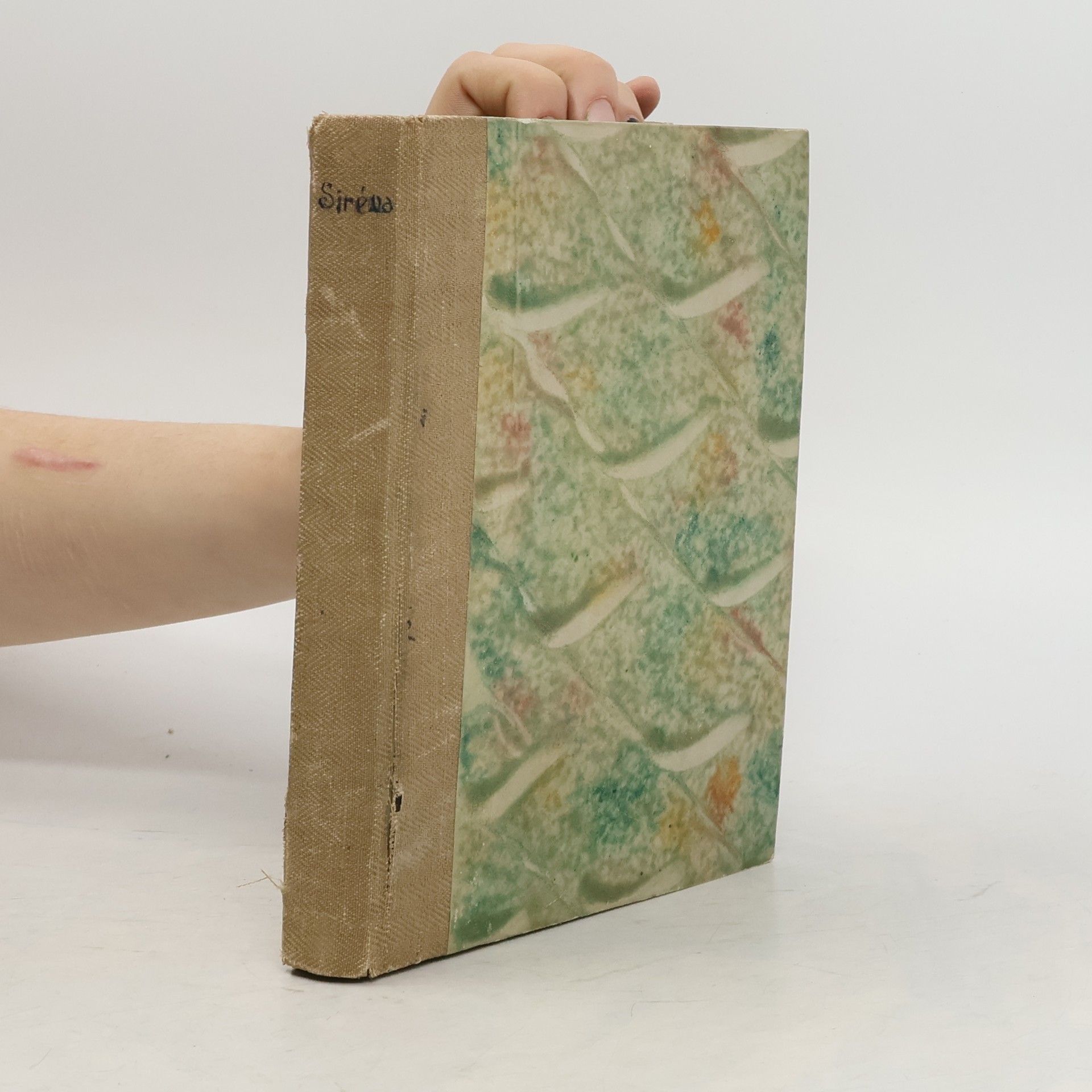 Sláva Galíčková Siréna