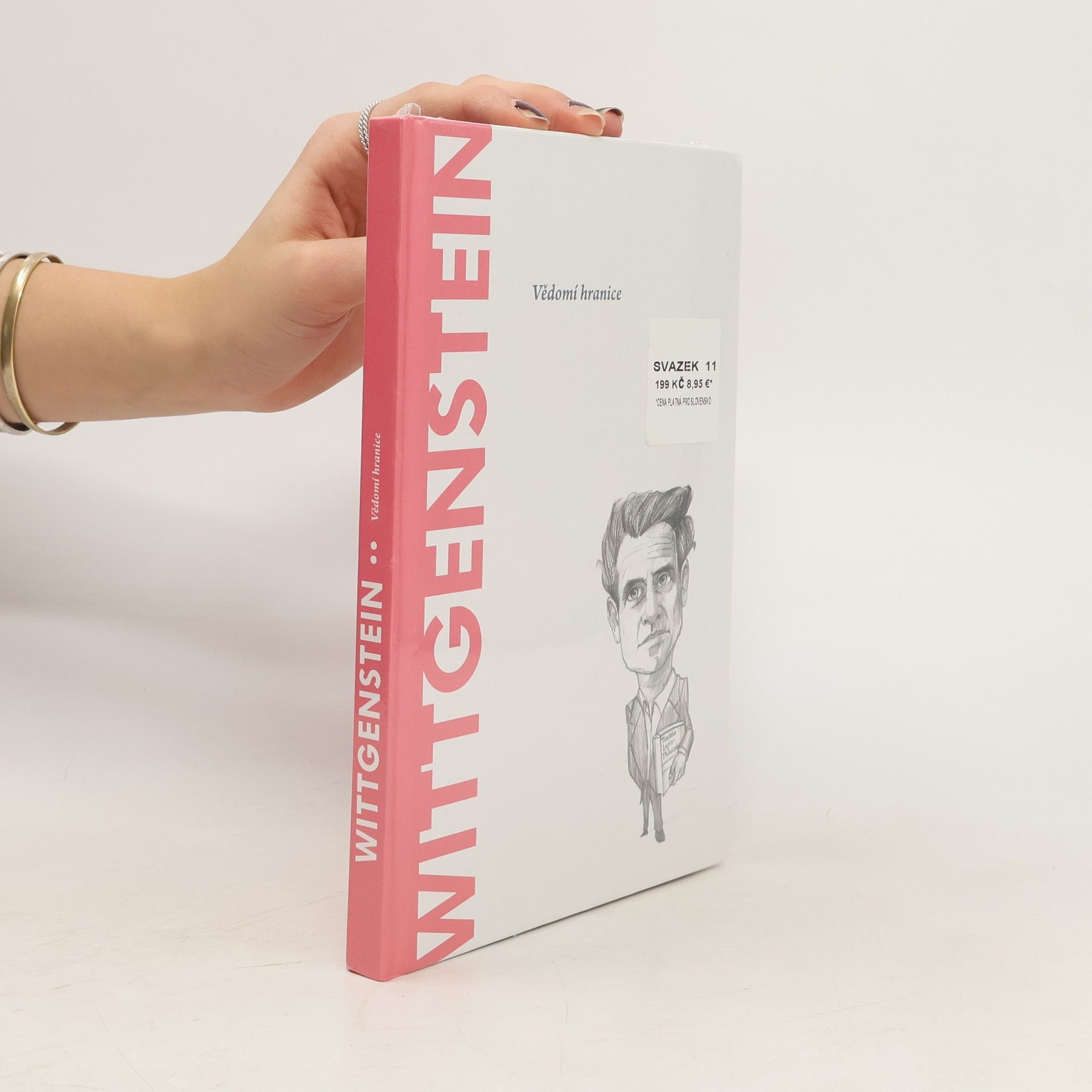 Autorenkollektiv Wittgenstein. Vědomí hranice