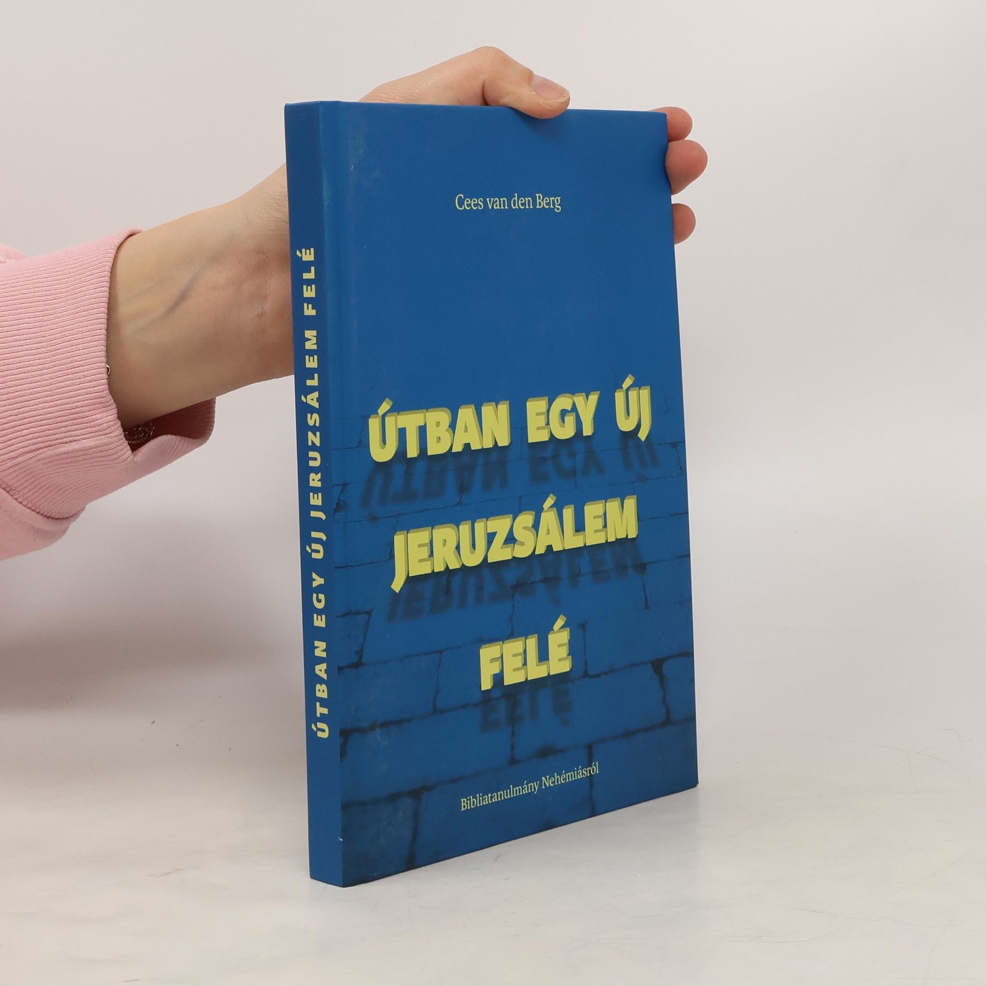 Cees van den Berg Útban egy új Jeruzsálem felé
