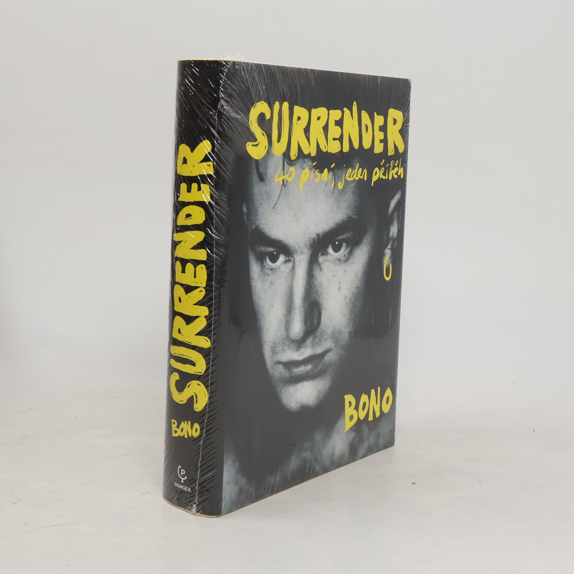 Bono Surrender : 40 písní, jeden příběh