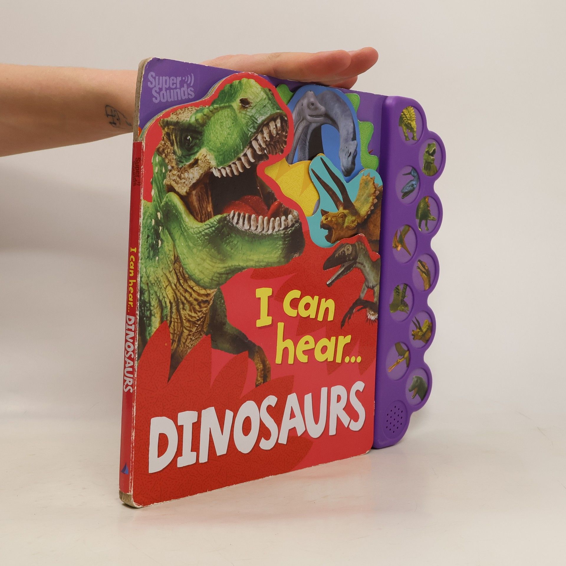 Collectif d'auteurs I Can Hear... Dinosaurus