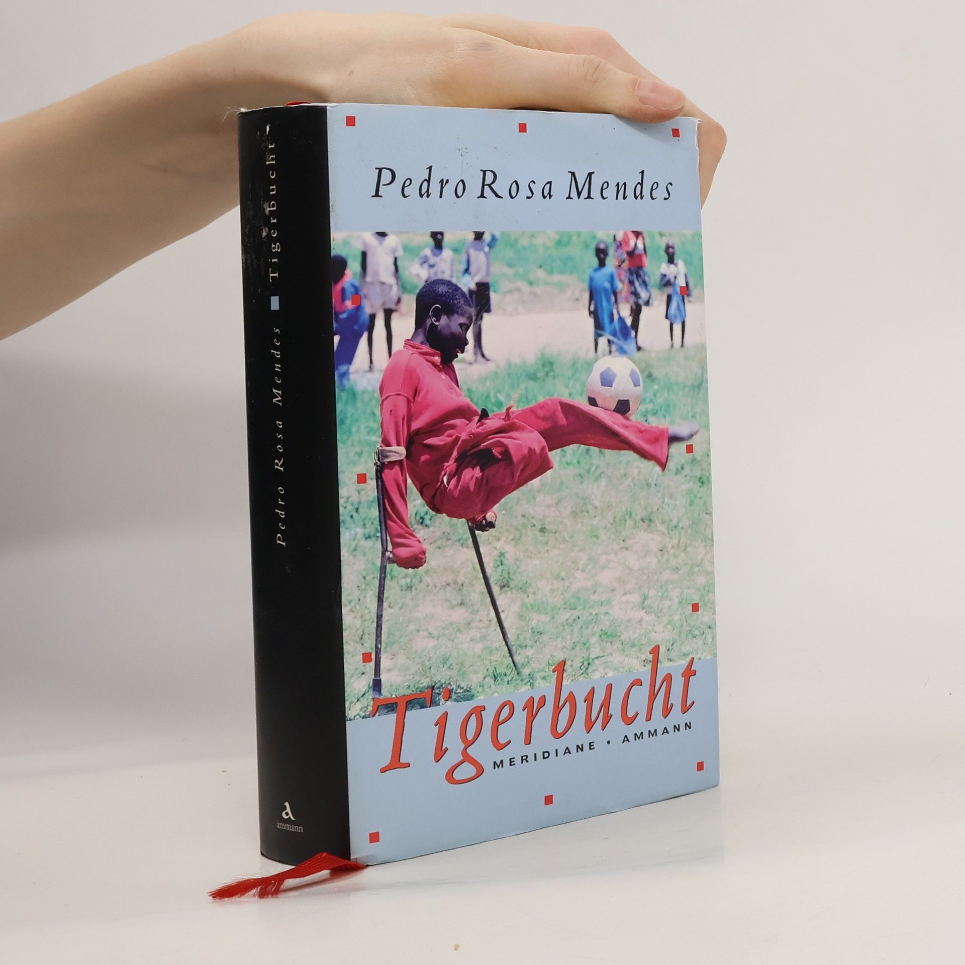 Pedro Rosa Mendes Tigerbucht