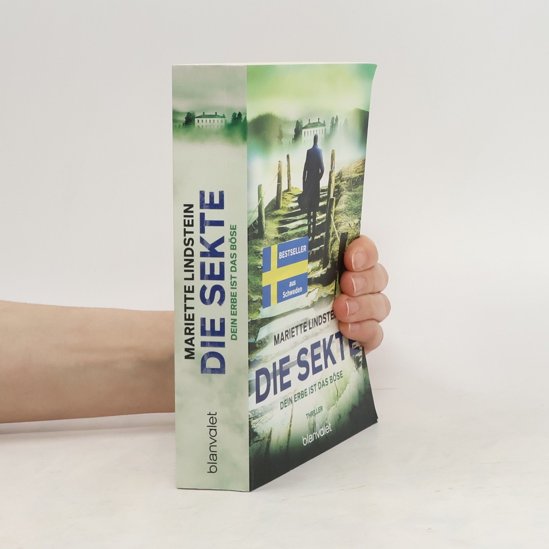Mariette Lindstein Die Sekte – Dein Erbe ist das Böse. Thriller
