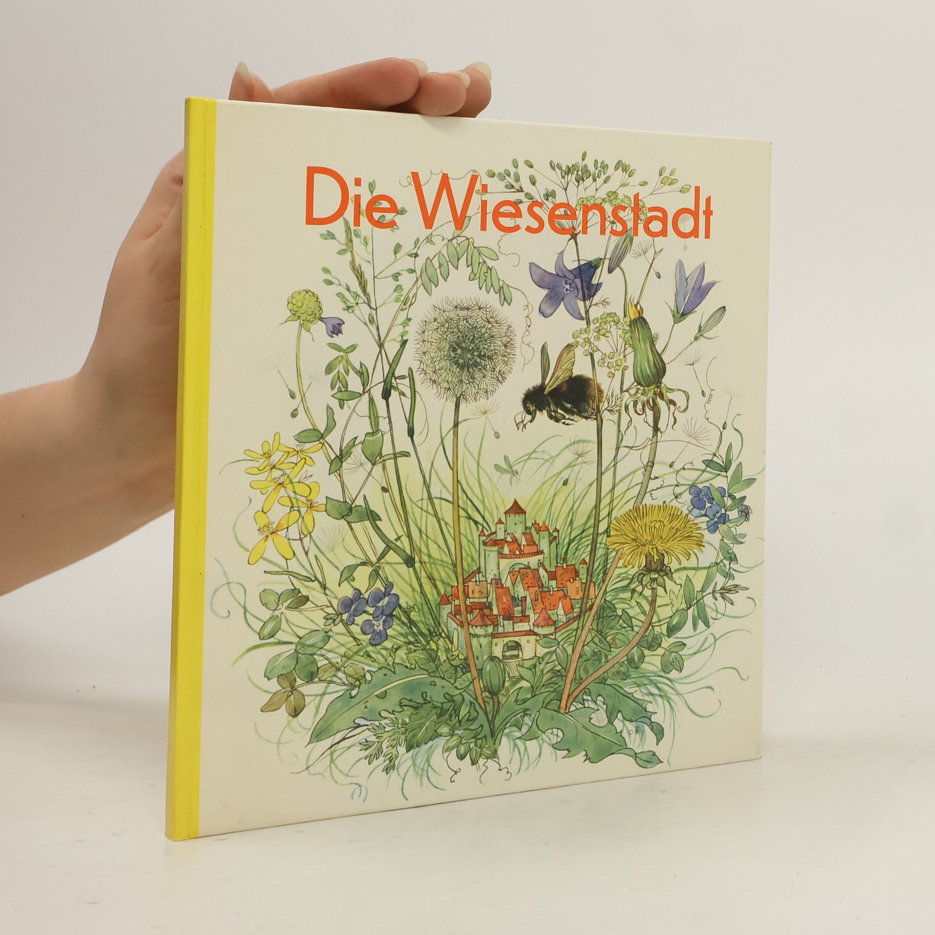 Marga Müller Die Wiesenstadt