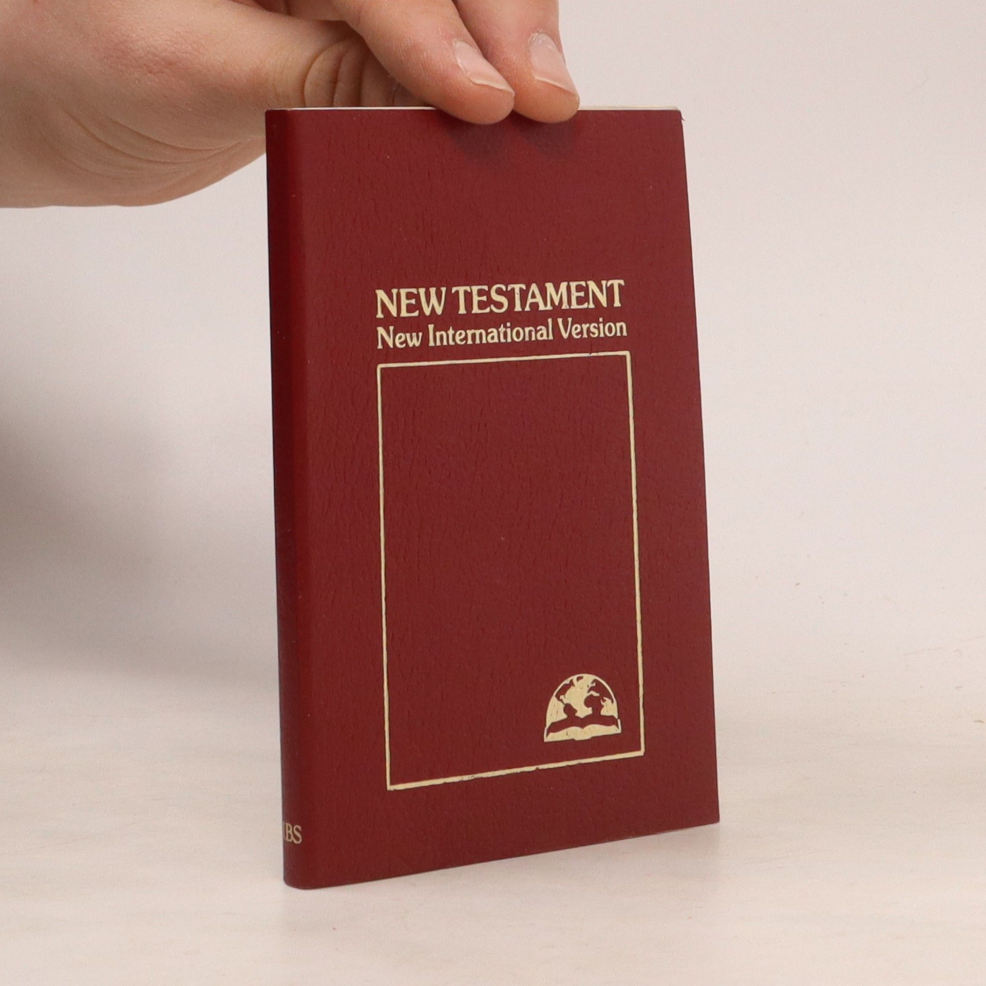 AA.VV. New Testament. New International version