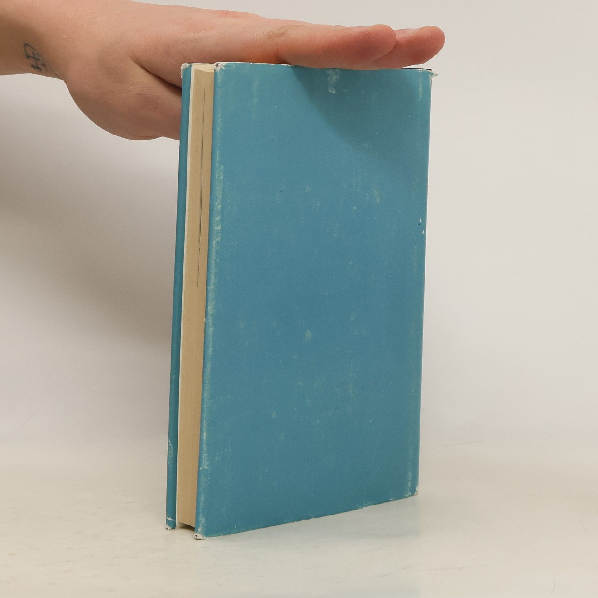 kolektiv Die mit dem blauen Schein