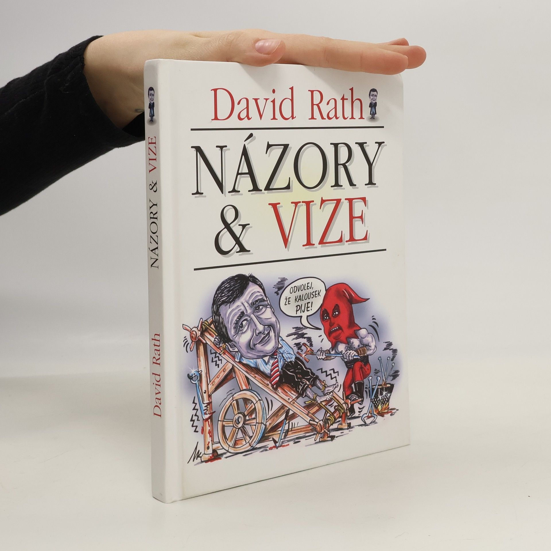 David Rath Názory a vize