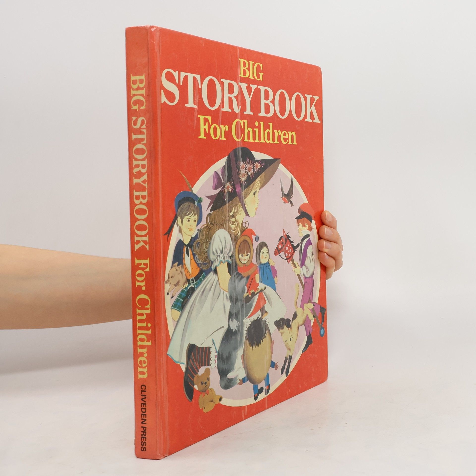 Auteurscollectief Big Storybook for Children