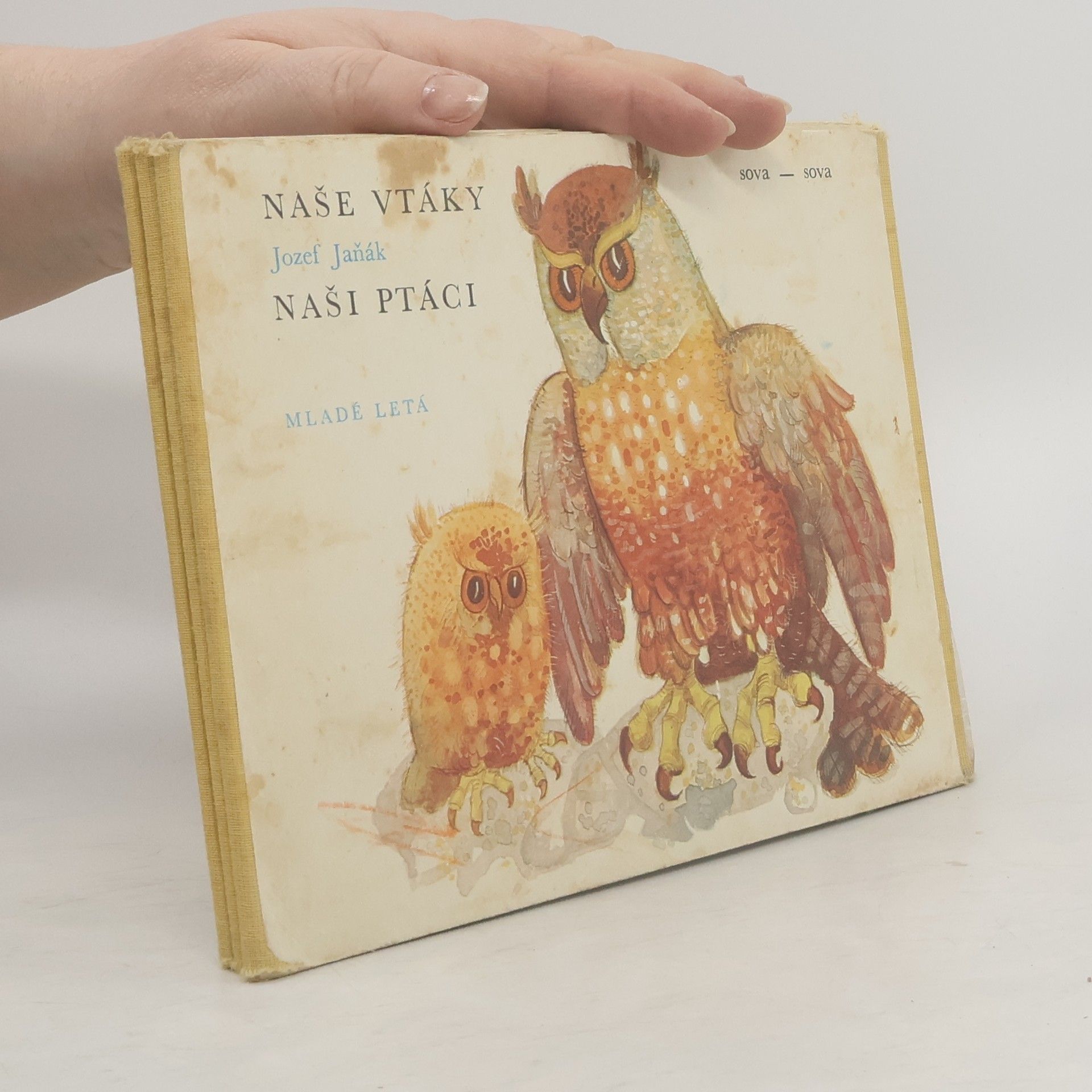 Collectif d'auteurs Naše vtáky. Naši ptáci