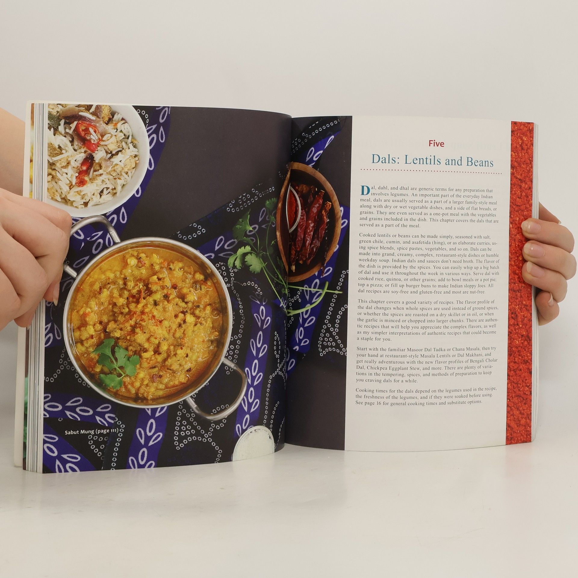 Richa Hingle Vegan Richa's Indian Kitchen
