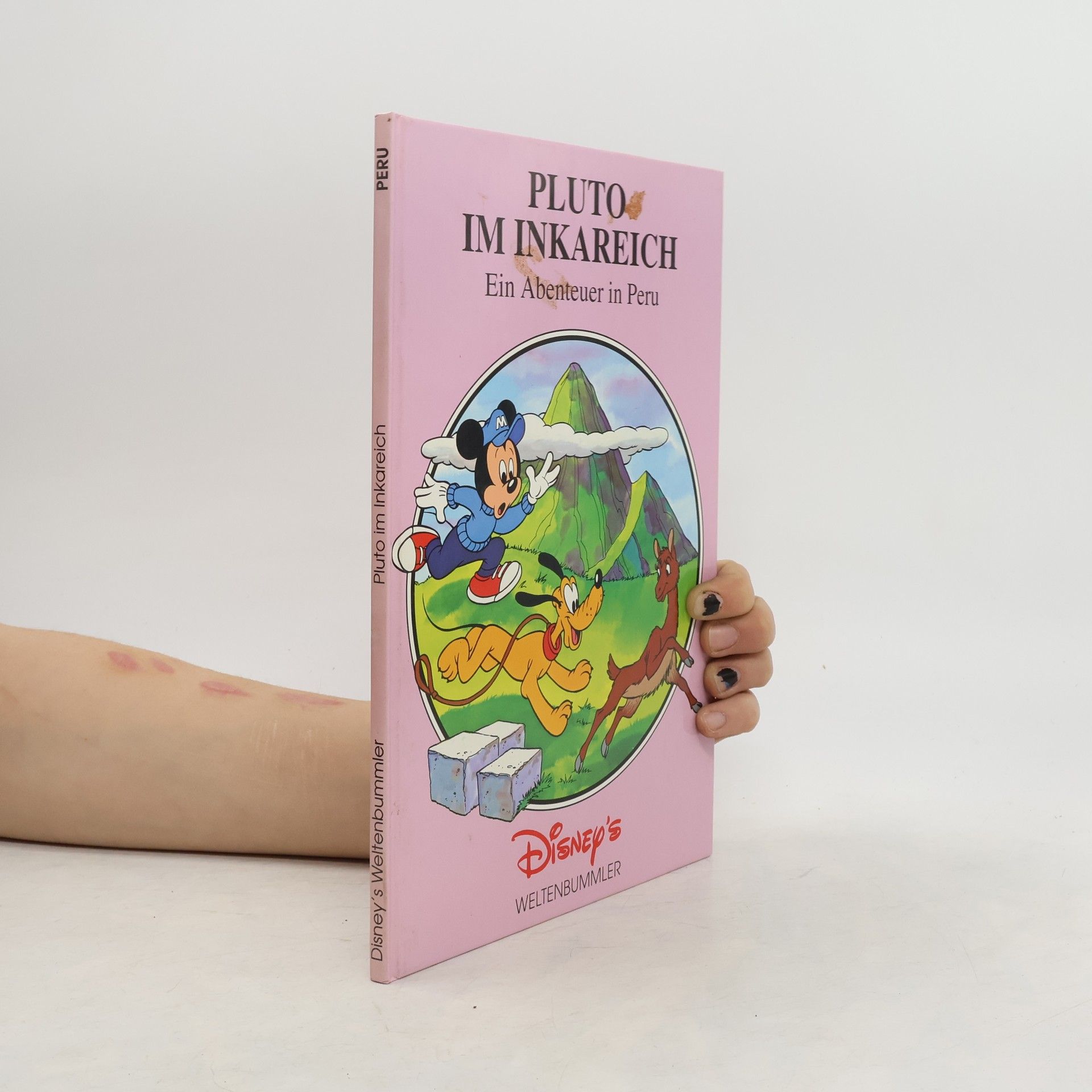 Autorenkollektiv Pluto im Inkareich