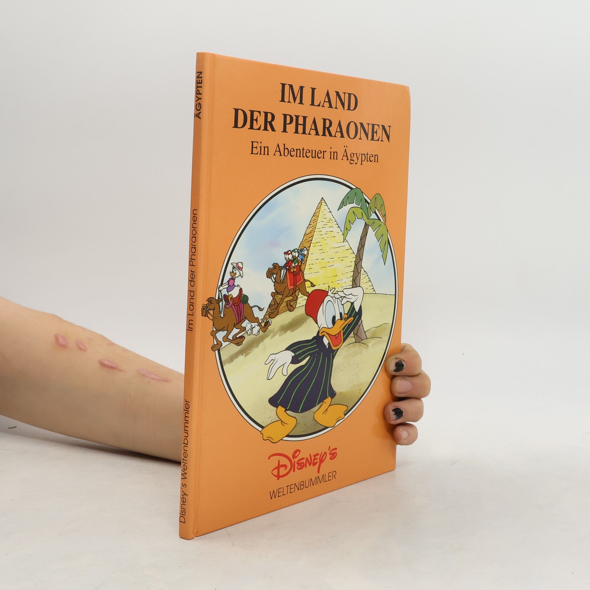 Autorenkollektiv Im Land der Pharaonen