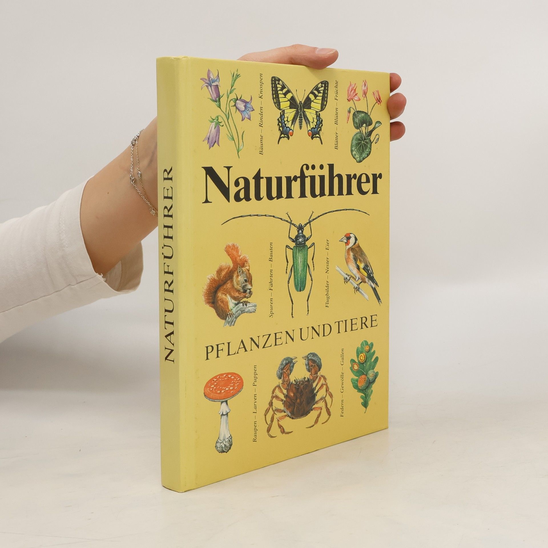 Christoph Needon Naturführer Pflanzen und Tiere