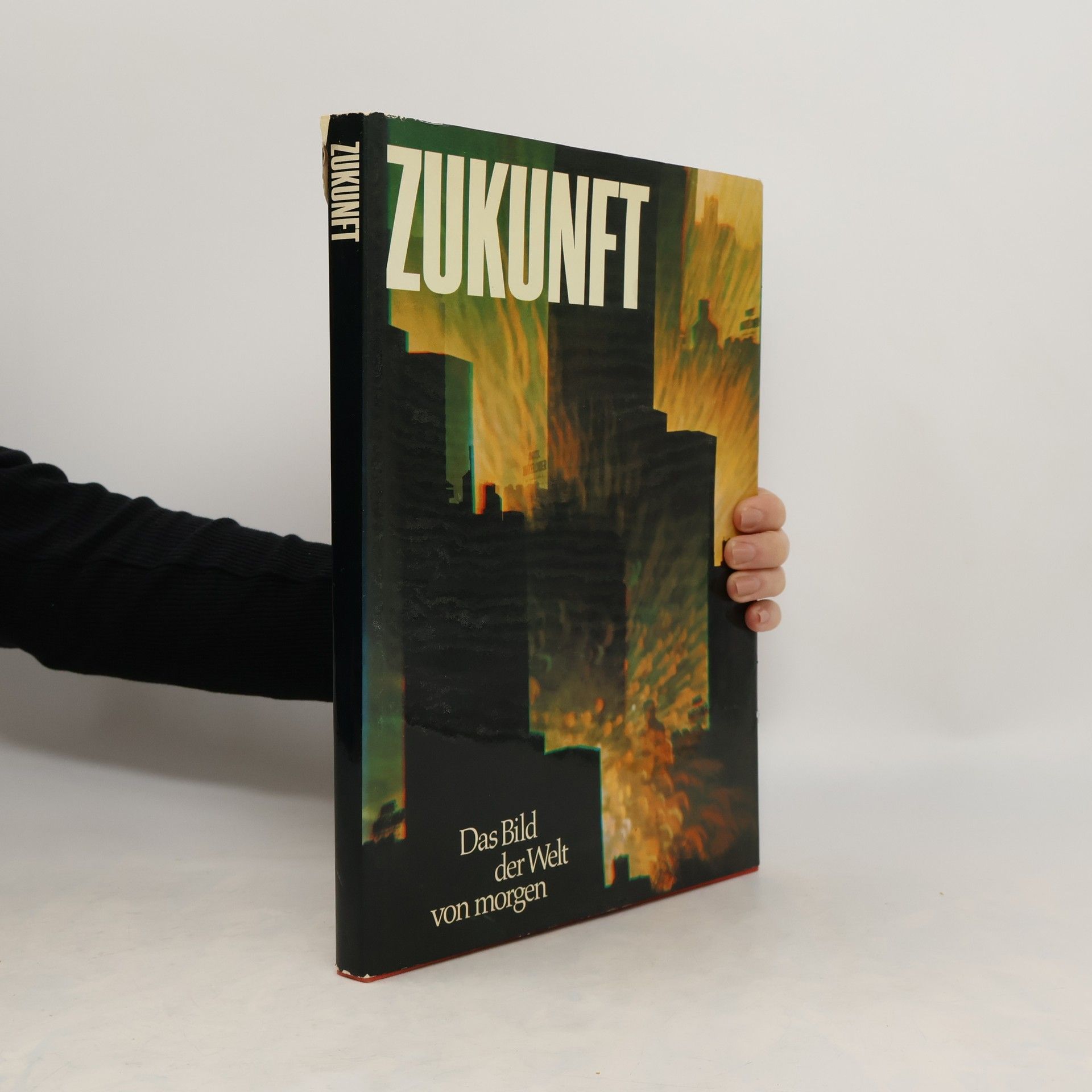 Ulrich Schippke Zukunft. Das Bild der Welt von morgen