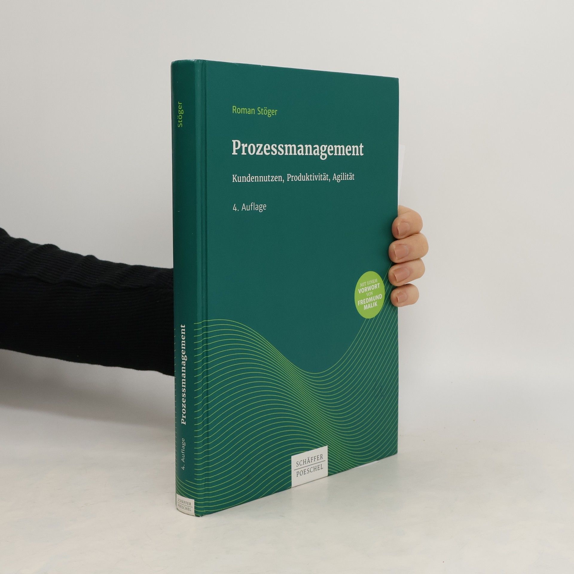 Roman Stöger Prozessmanagement
