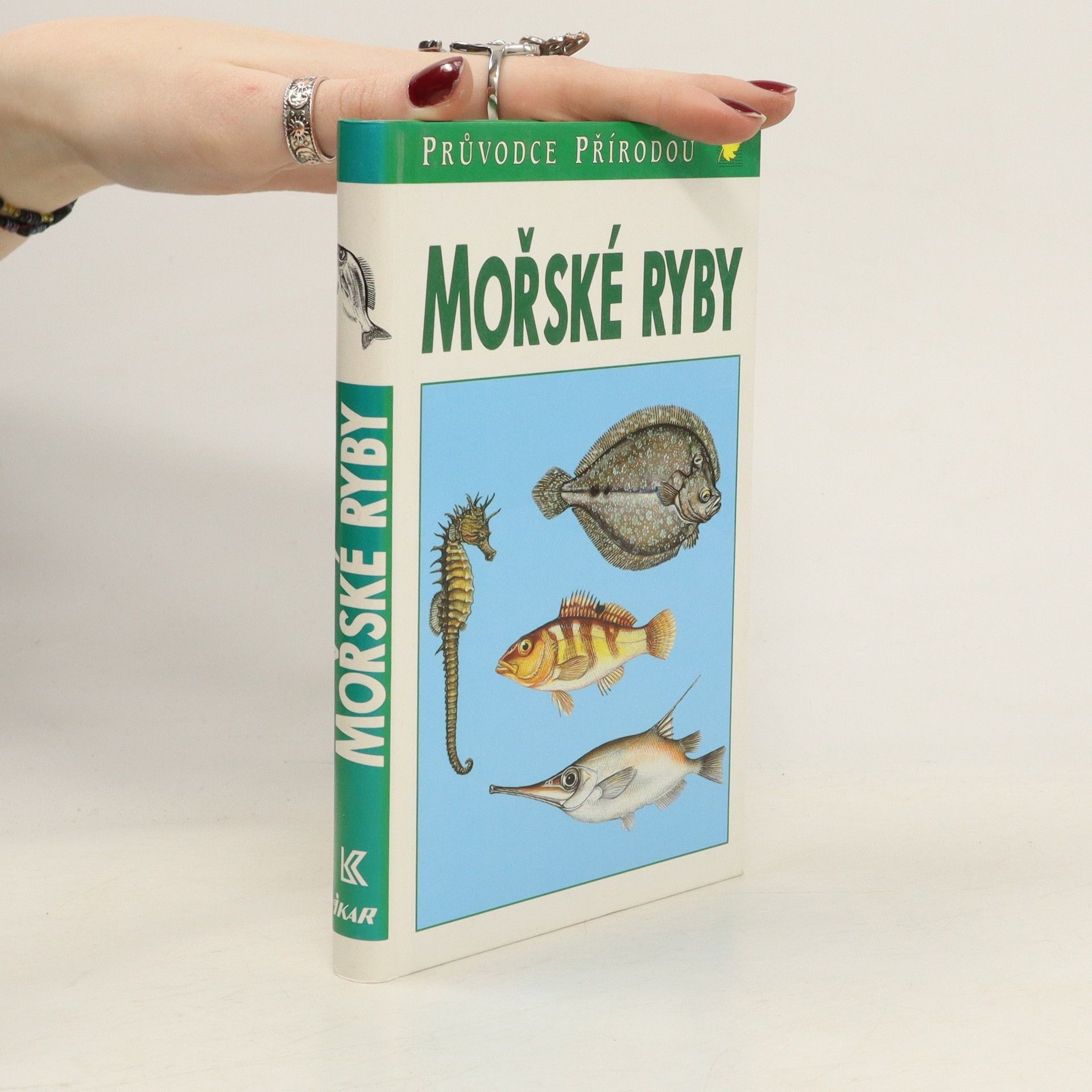 Sauer Frieder Mořské ryby v evropských vodách