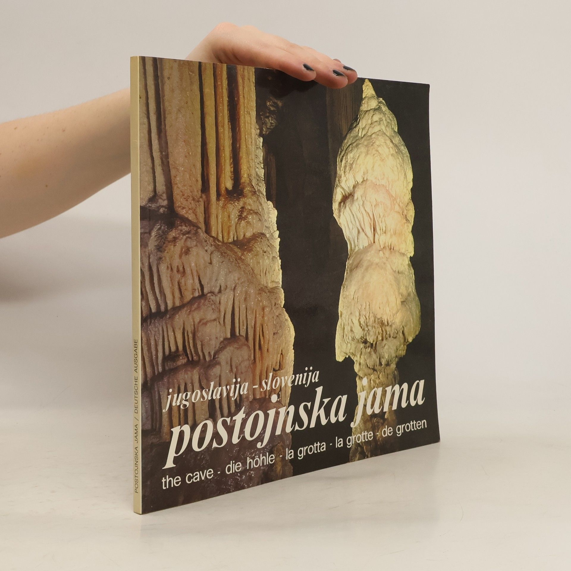 Autorenkollektiv Postojnska jama