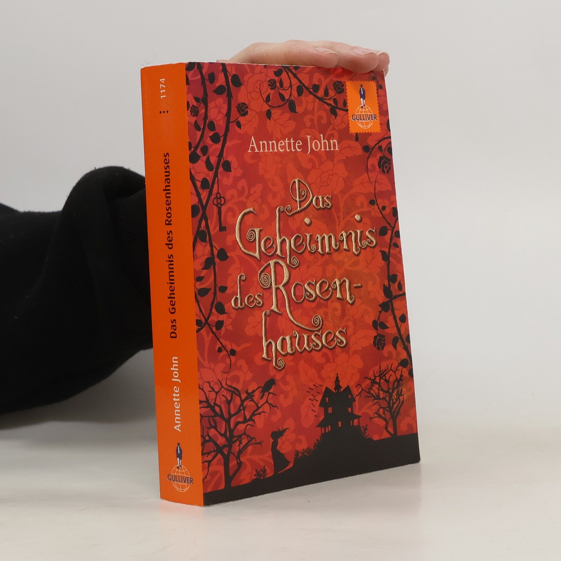 Annette John Das Geheimnis des Rosenhauses