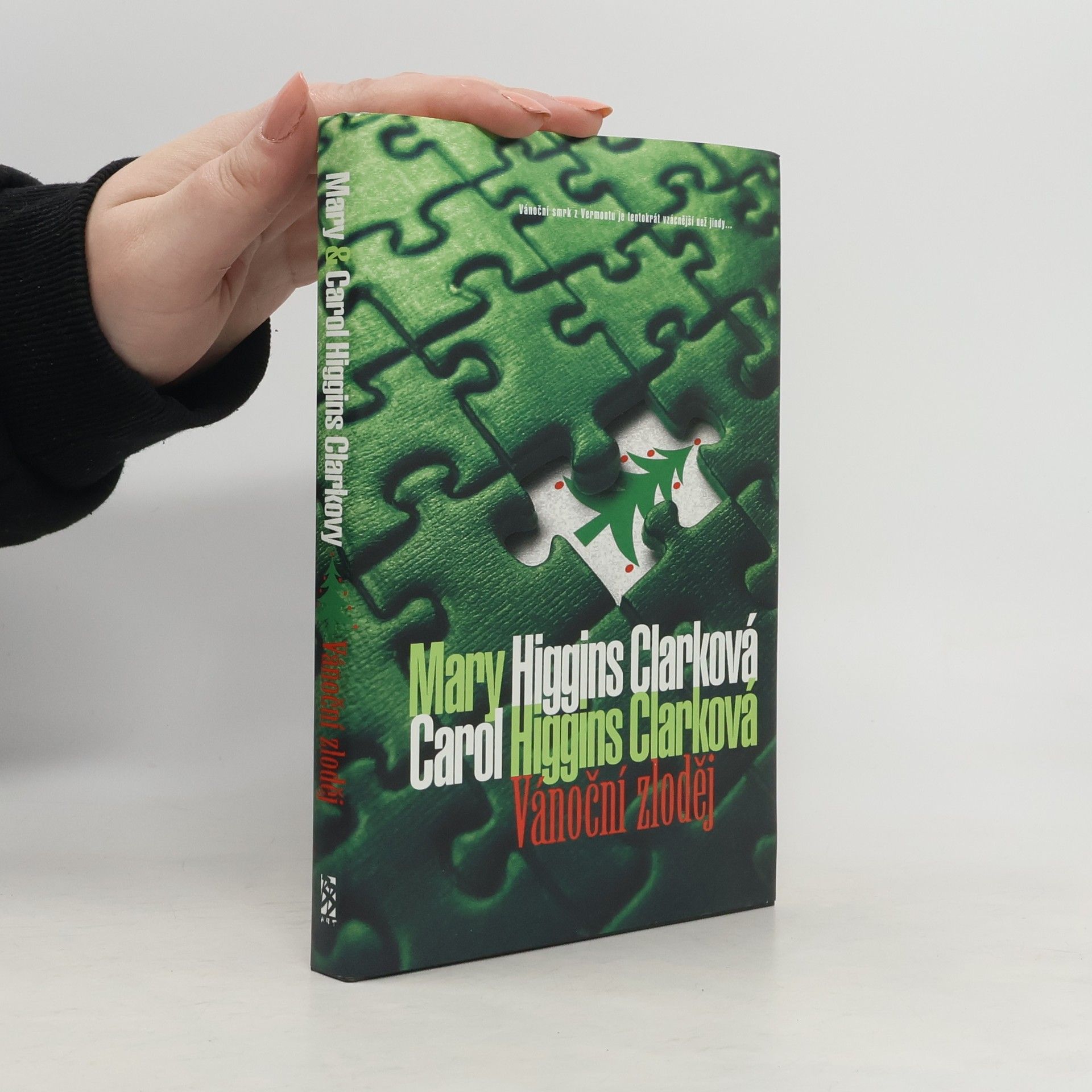 Mary Higginsová Clarková Vánoční zloděj