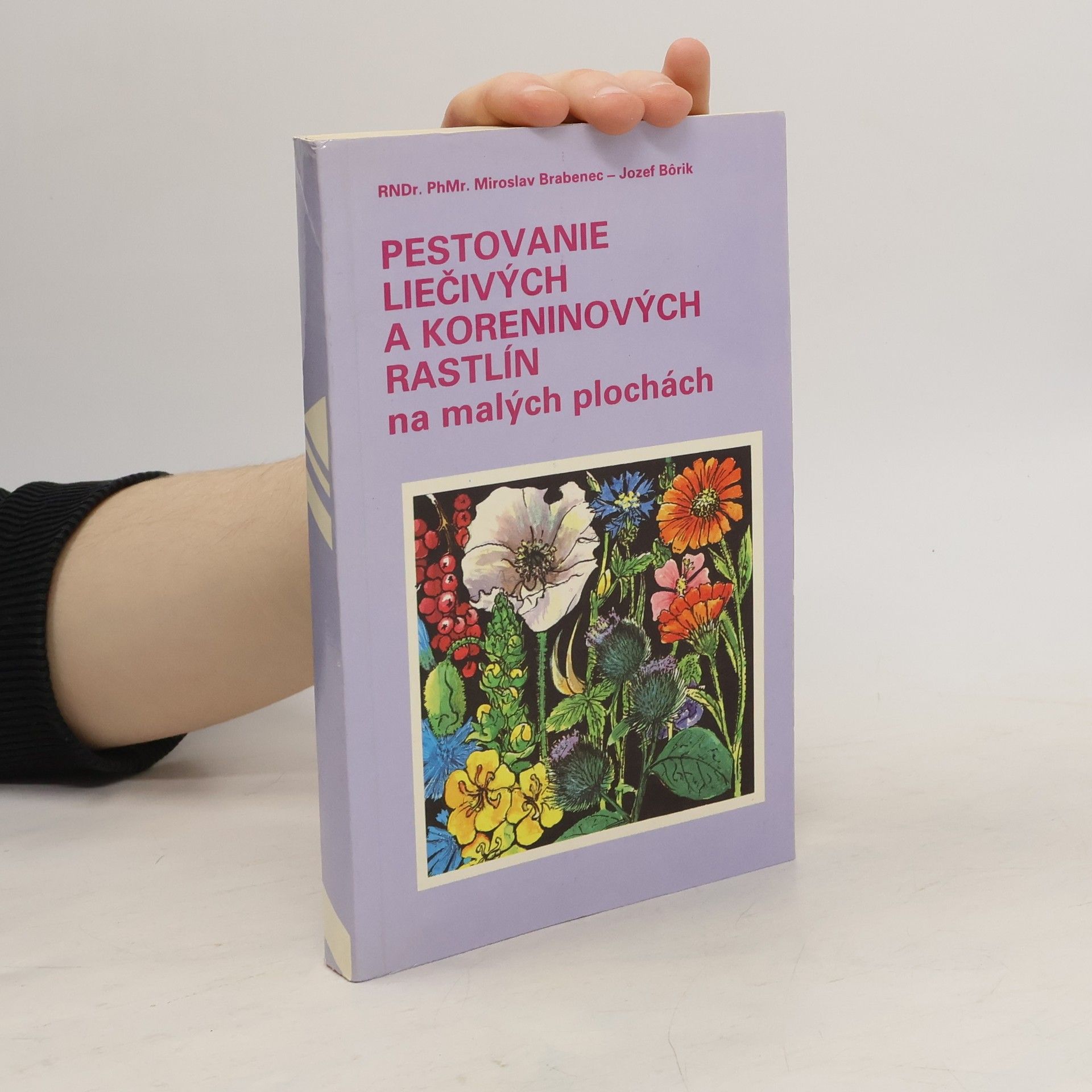 Brabenec Miroslav Pestovanie liečivých a koreninových rastlín na malých plochách