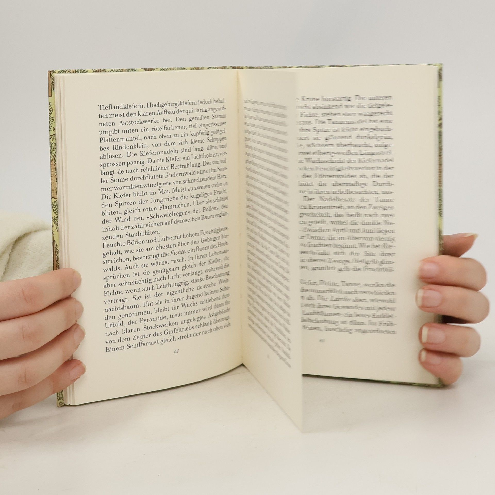 Friedrich Schnack Das kleine Baumbuch