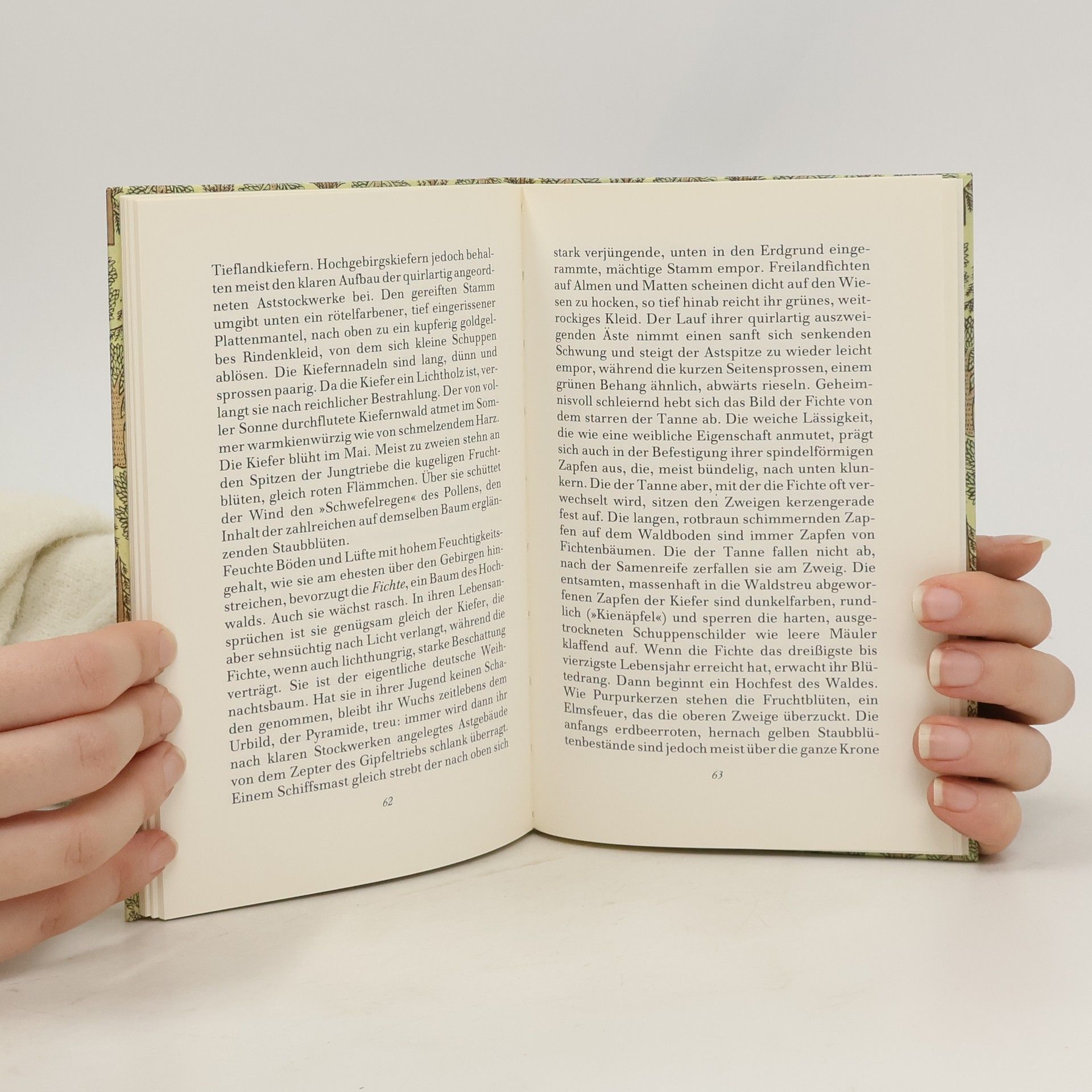 Friedrich Schnack Das kleine Baumbuch