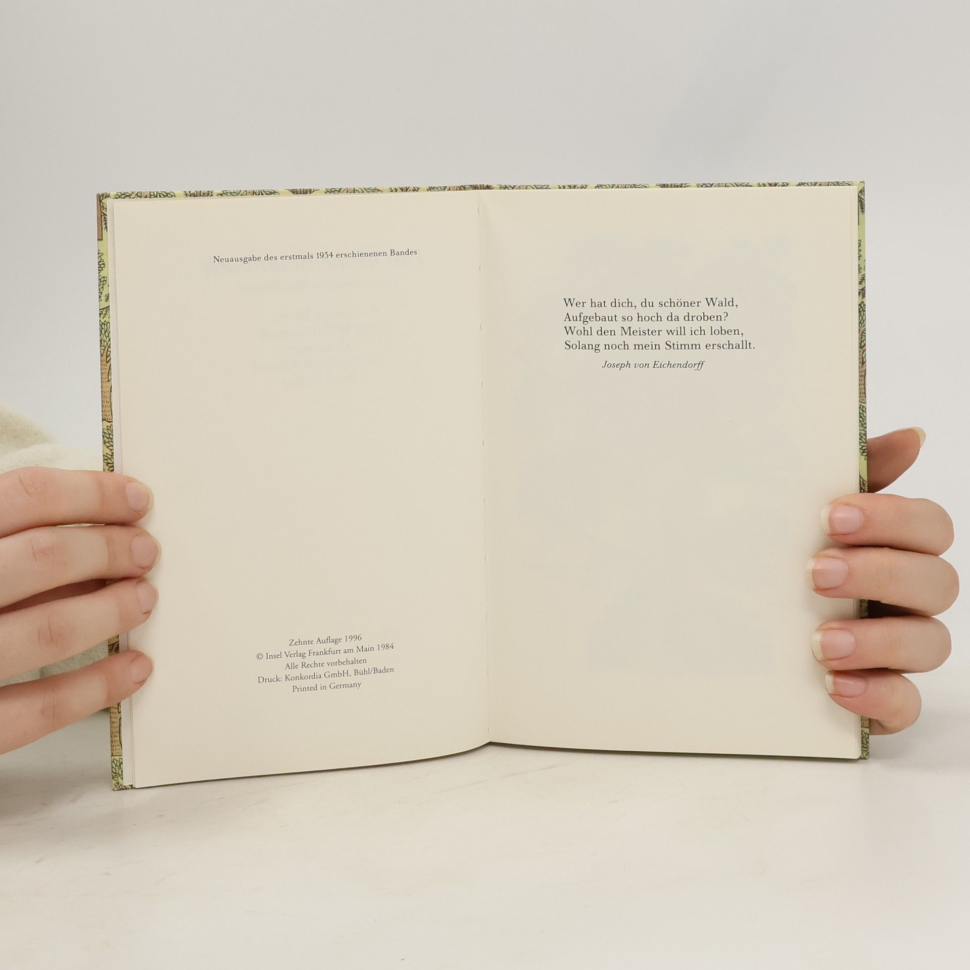 Friedrich Schnack Das kleine Baumbuch