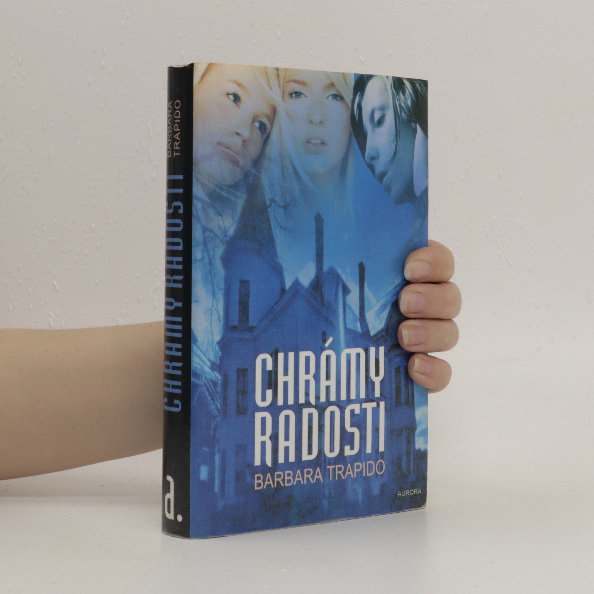 Barbara Trapido Chrámy radosti